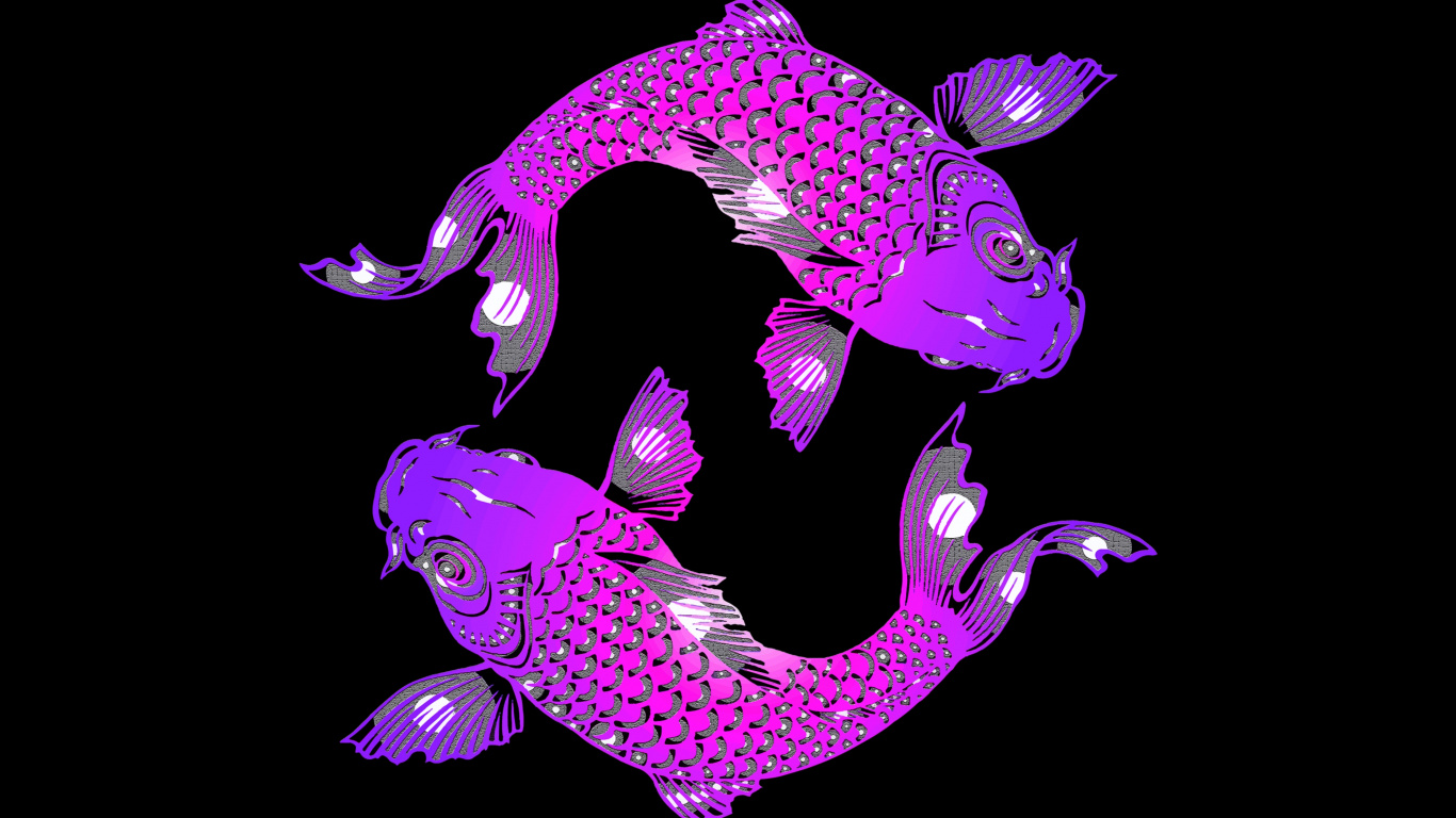 Обои кои, рыба, пурпур, Фиолетовый, пурпурный цвет в разрешении 1366x768