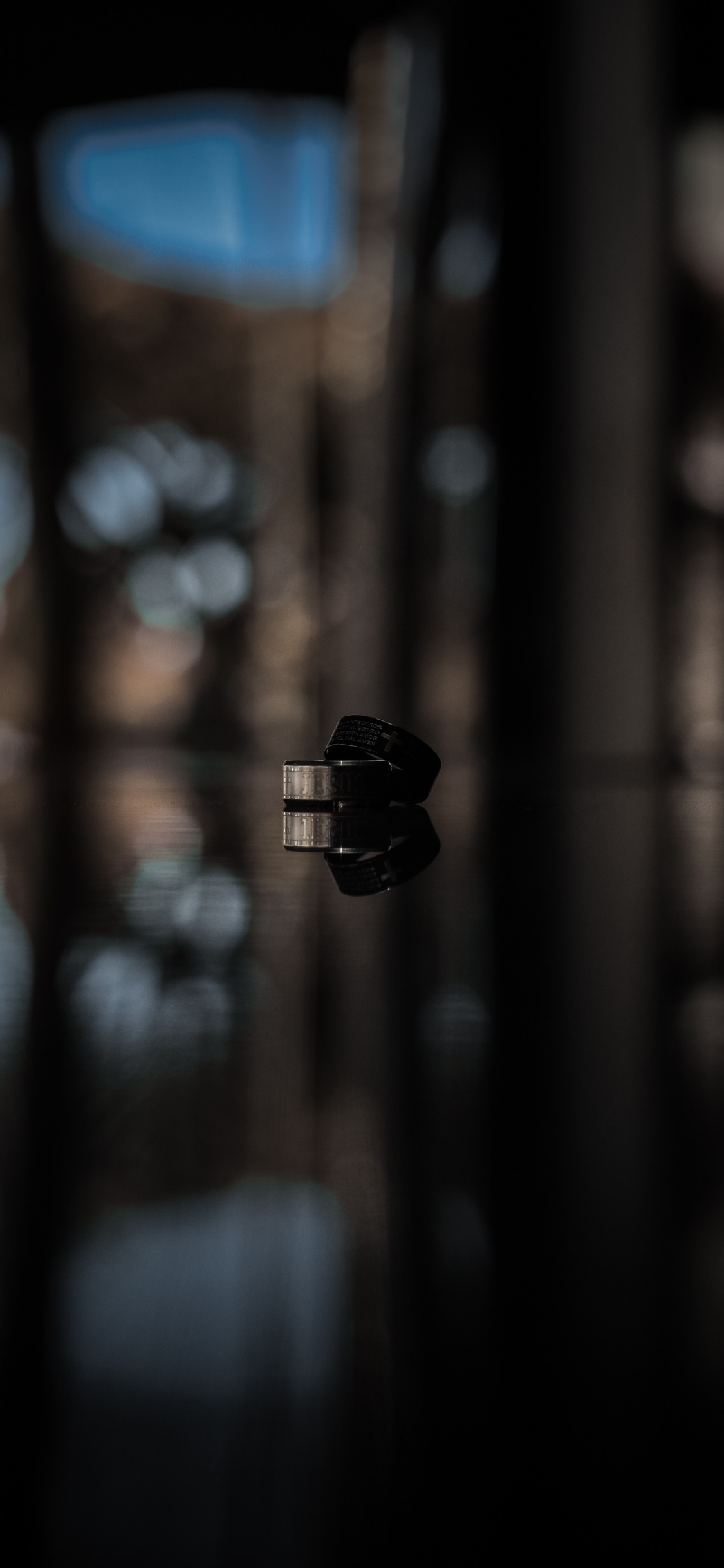 Обои подарок, растение, крупный план, черный, черный и белый в разрешении 1125x2436