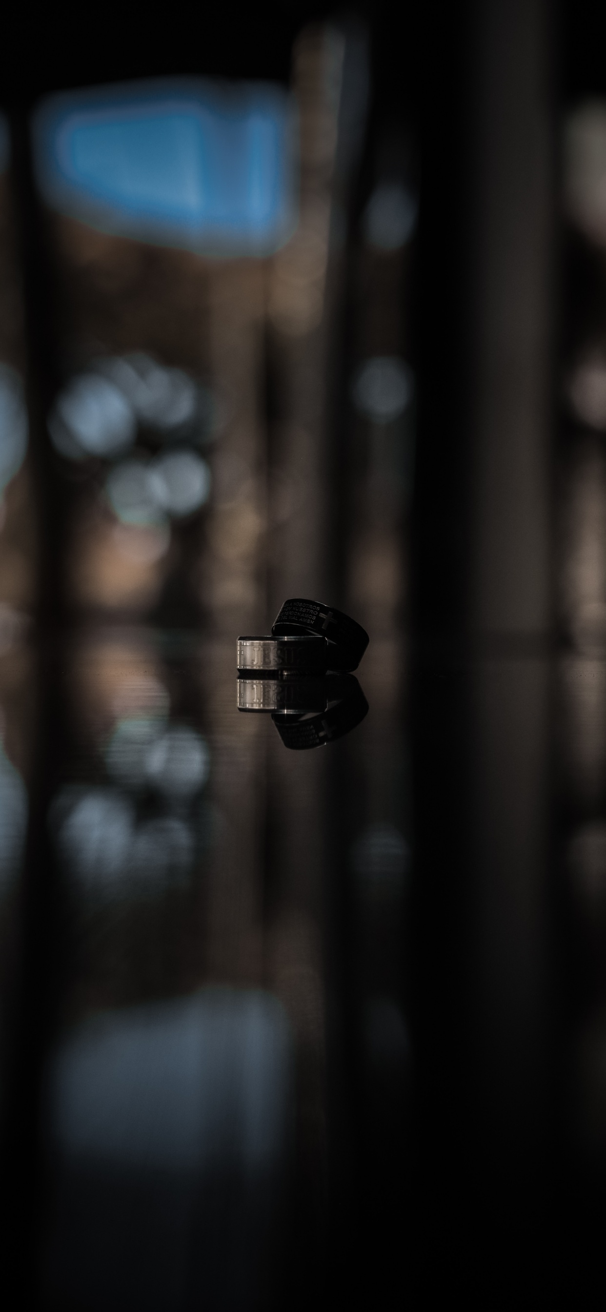 Обои подарок, растение, крупный план, черный, черный и белый в разрешении 1242x2688