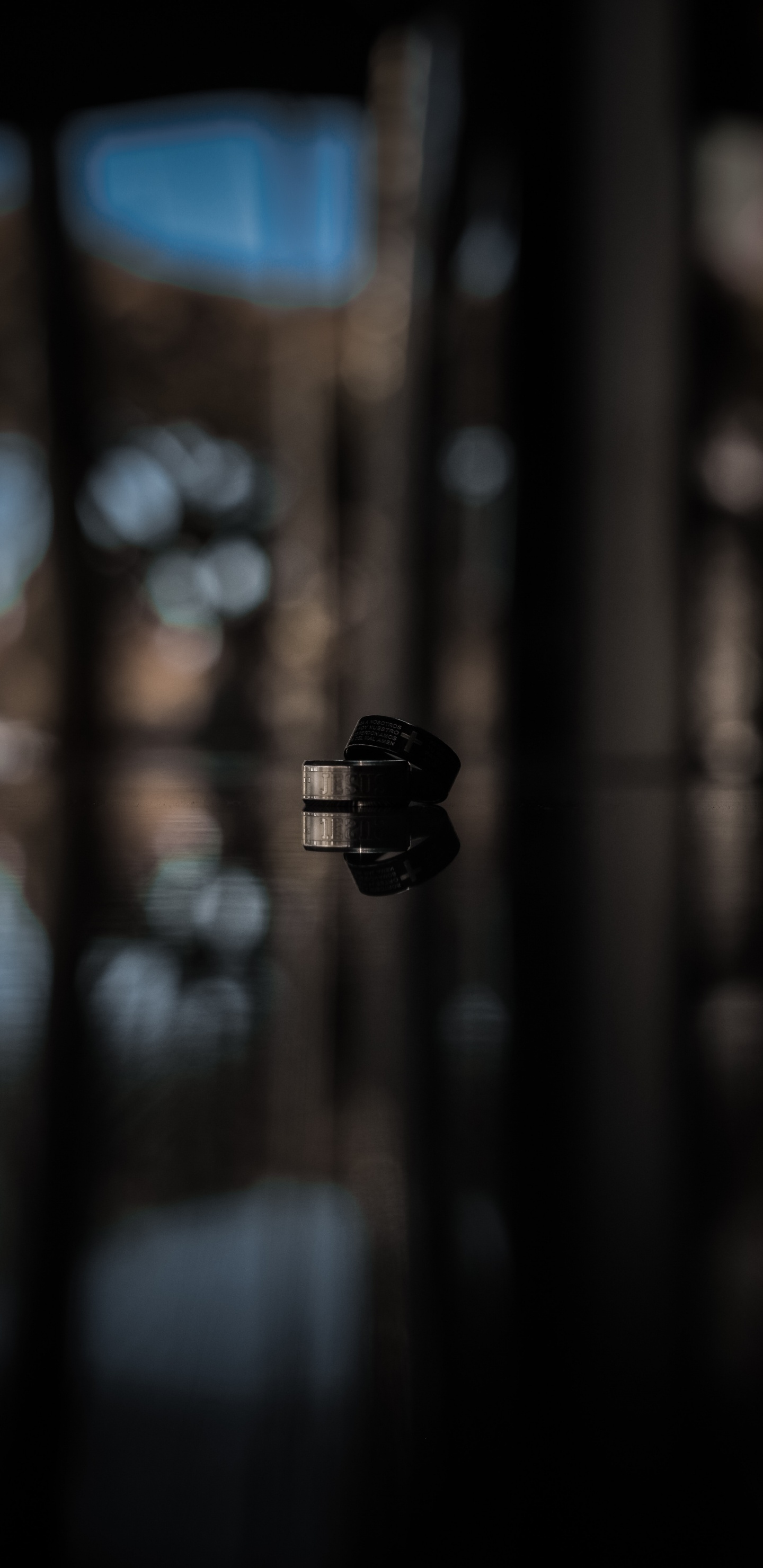 Обои подарок, растение, крупный план, черный, черный и белый в разрешении 1440x2960