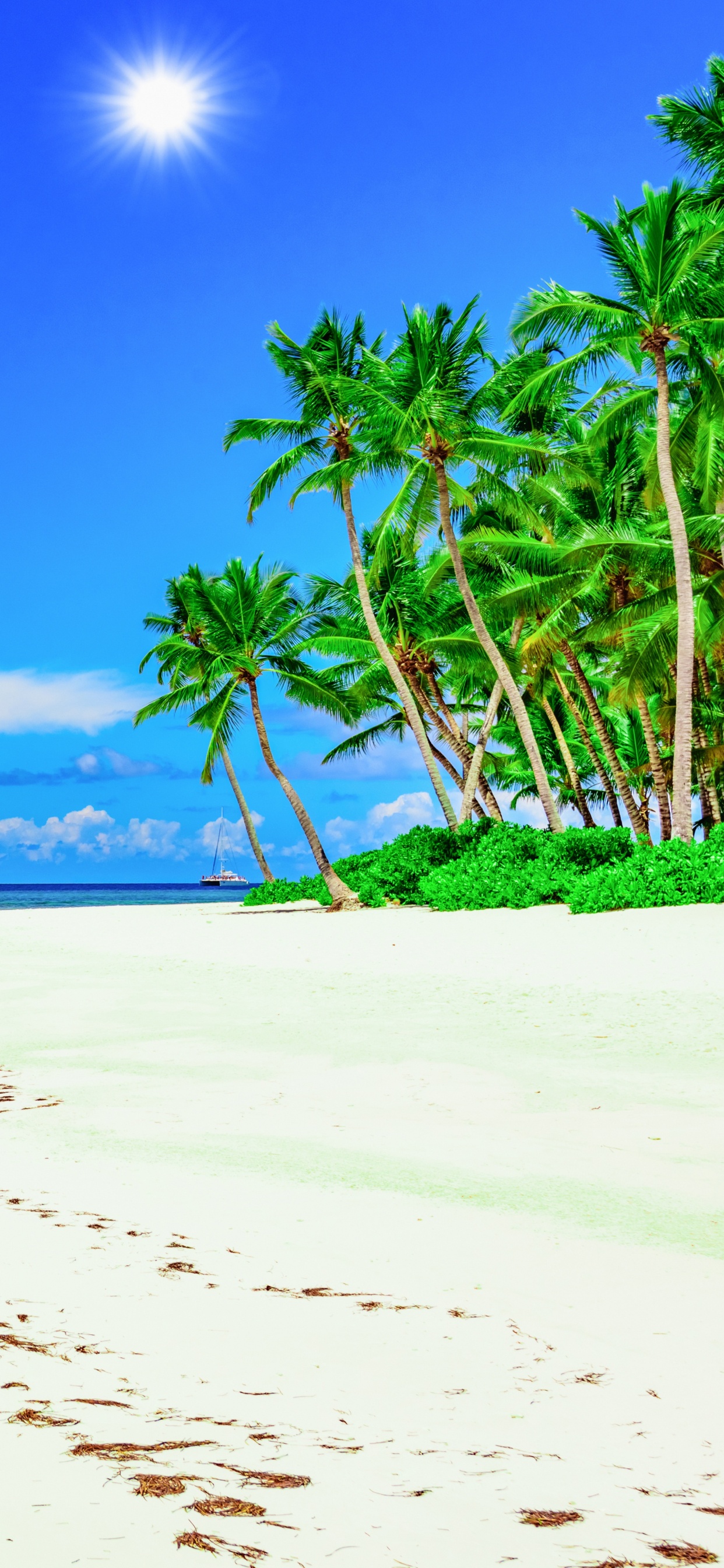 Обои Солнечный берег, пляж, тропическая зона, берег, море в разрешении 1242x2688