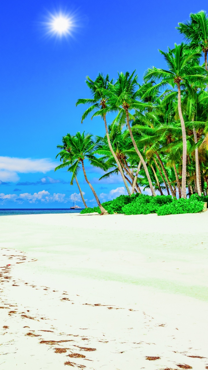 Обои Солнечный берег, пляж, тропическая зона, берег, море в разрешении 720x1280