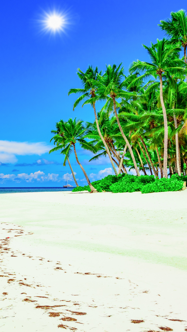 Обои Солнечный берег, пляж, тропическая зона, берег, море в разрешении 750x1334