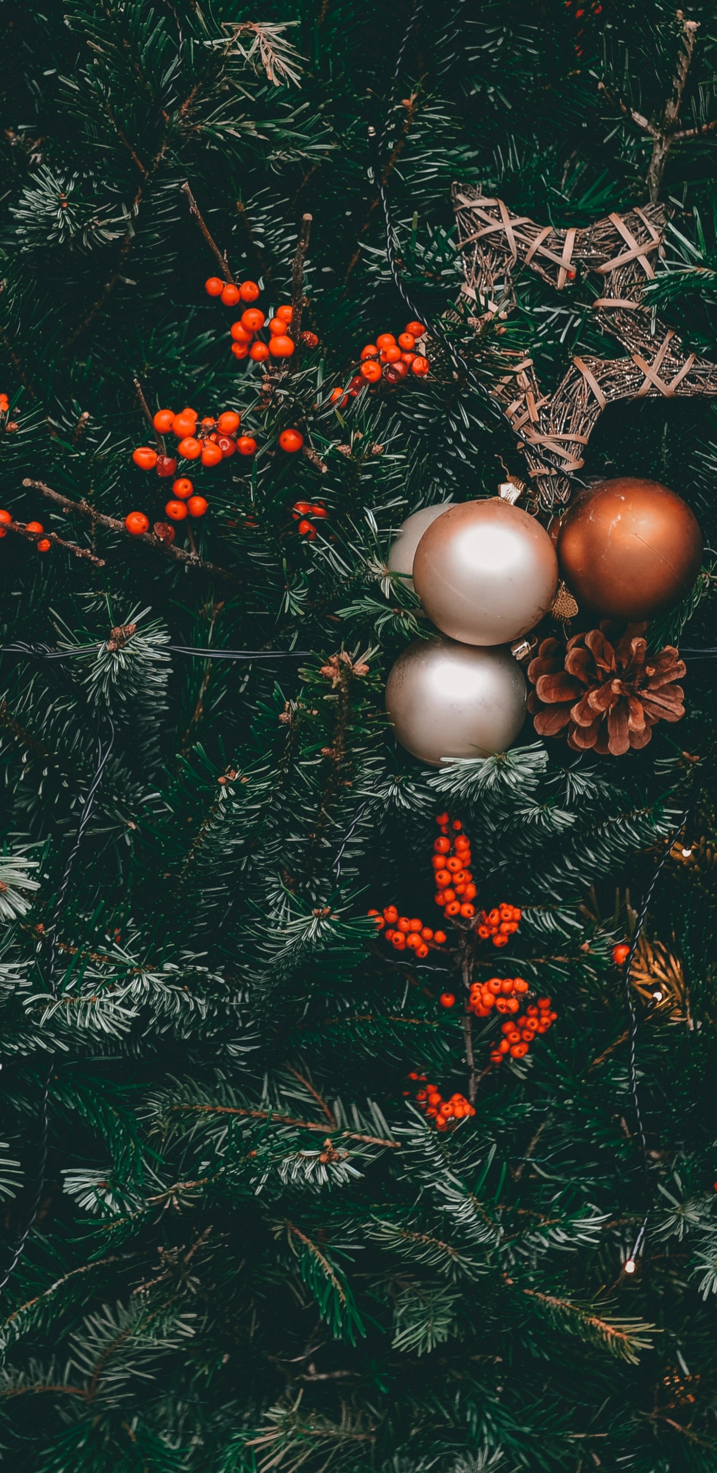 Обои дерево, лист, растение, ветвь, рождественский орнамент в разрешении 1440x2960