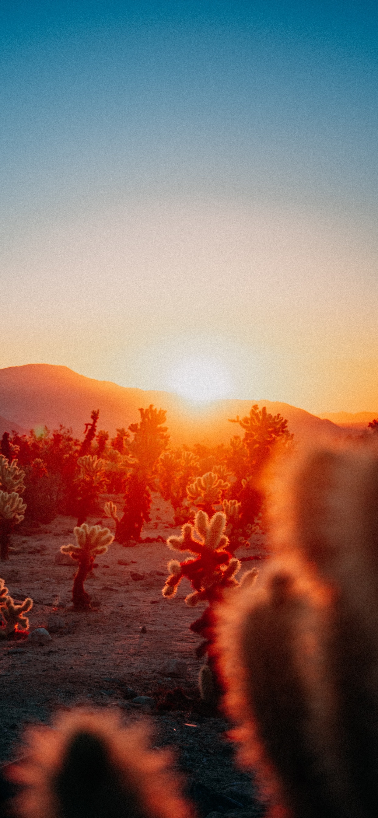 Обои календари эстетики заката, календарь, опубликовано, послесвечение, астрономический объект в разрешении 1242x2688