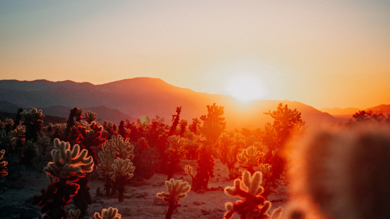 Обои календари эстетики заката, календарь, опубликовано, послесвечение, астрономический объект в разрешении 1280x720