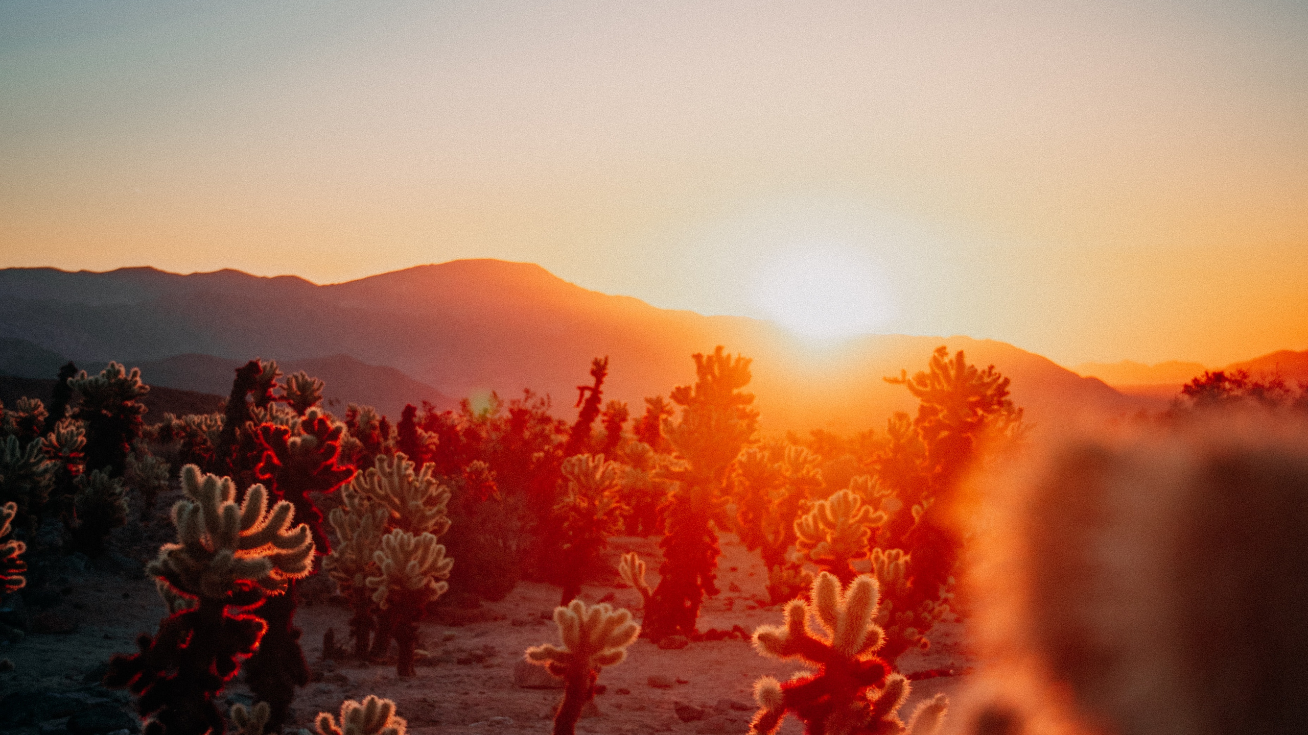 Обои календари эстетики заката, календарь, опубликовано, послесвечение, астрономический объект в разрешении 2560x1440