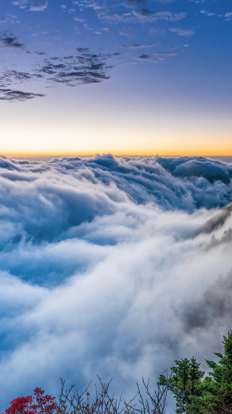 Обои иллюстрация, облако, атмосфера, гора, экорегион в разрешении 750x1334