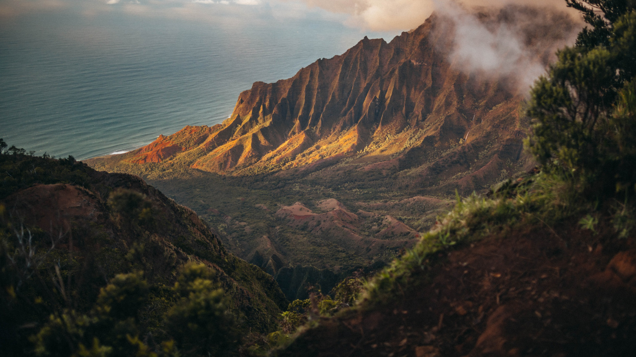 Обои 2020, июль, август, облако, растение в разрешении 1280x720