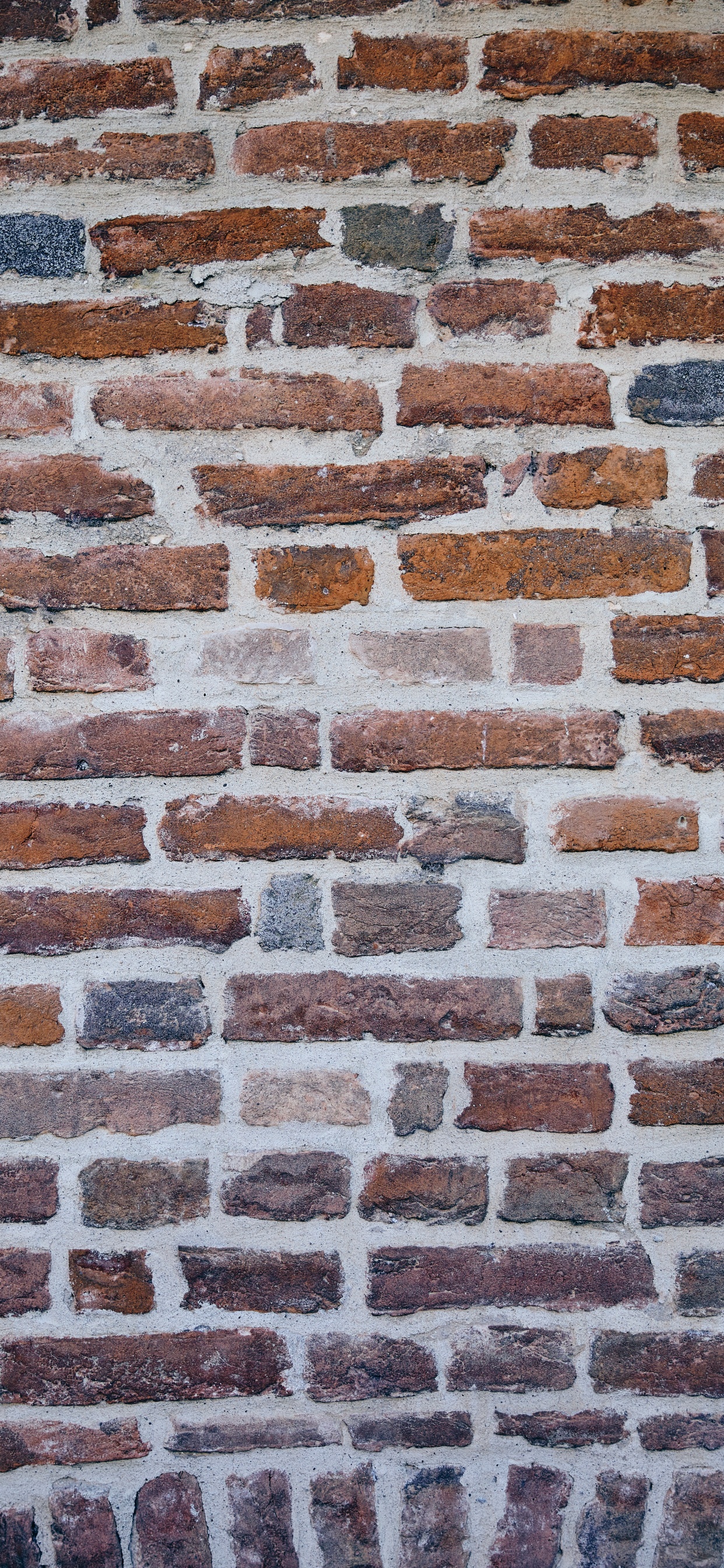 Обои кирпич, кирпичная кладка, стена, каменная стена, каменщик в разрешении 1242x2688