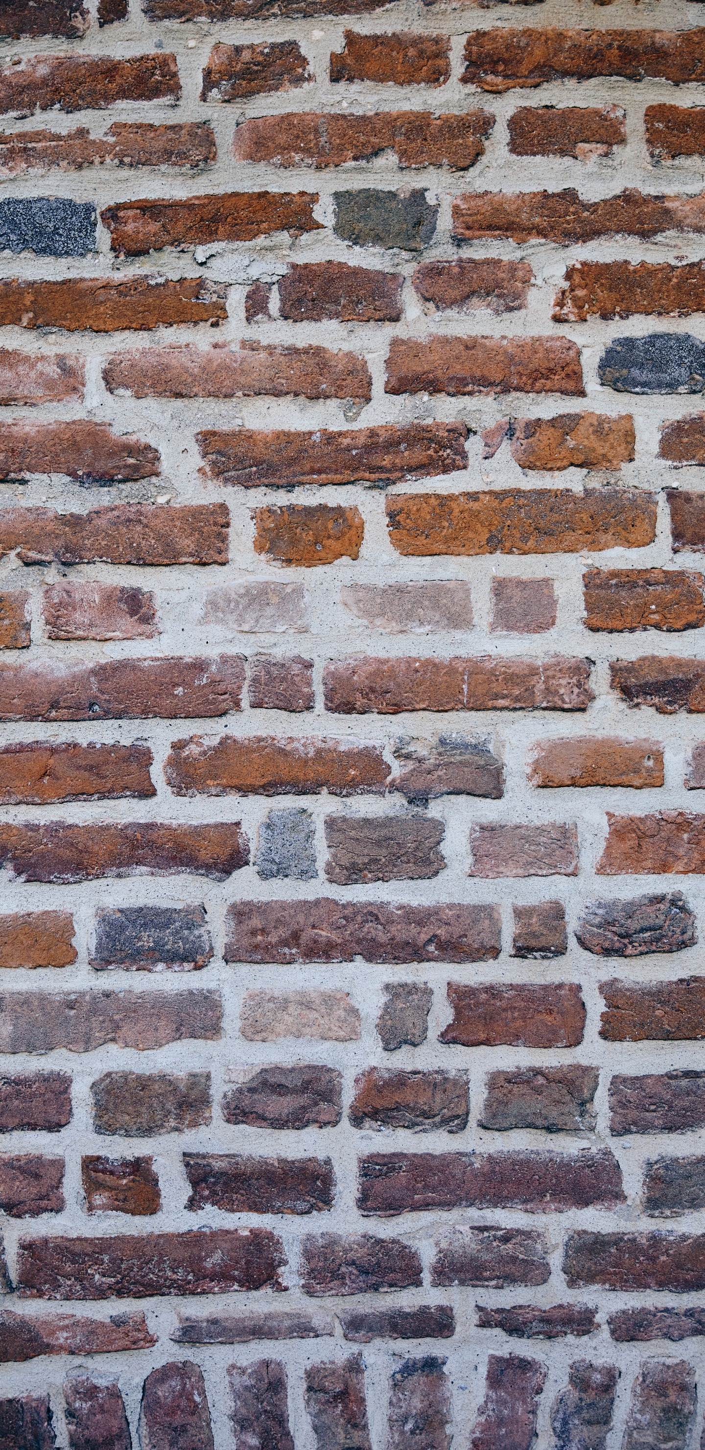 Обои кирпич, кирпичная кладка, стена, каменная стена, каменщик в разрешении 1440x2960