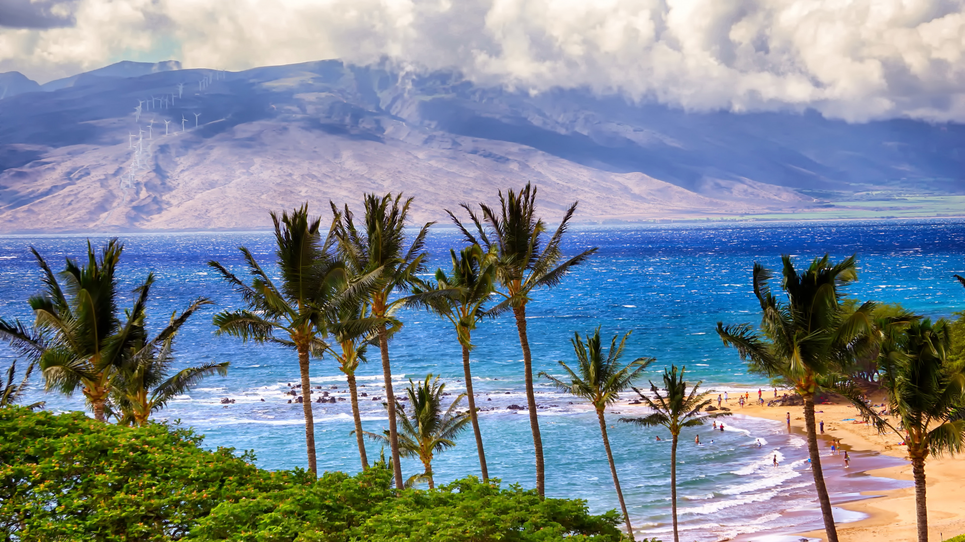 Обои море, пальмовые рощи, океан, пляж, тропическая зона в разрешении 1920x1080
