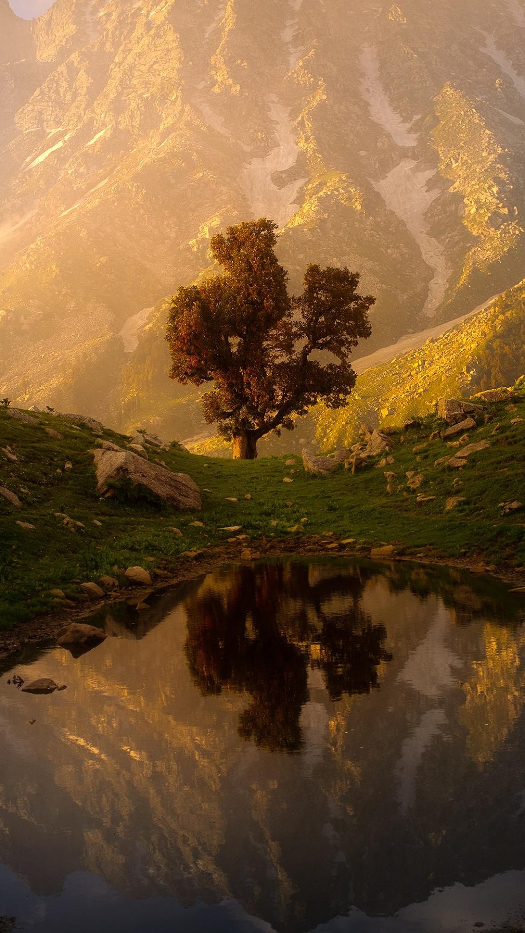 Обои портрет природы, природа, пейзаж, soundcloud, портрет в разрешении 1080x1920