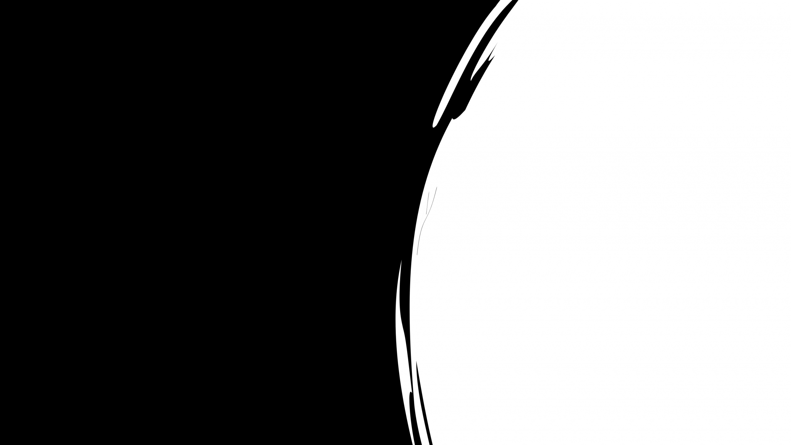 Обои черный, монохромный, круг, полумесяц, иллюстрация в разрешении 2560x1440