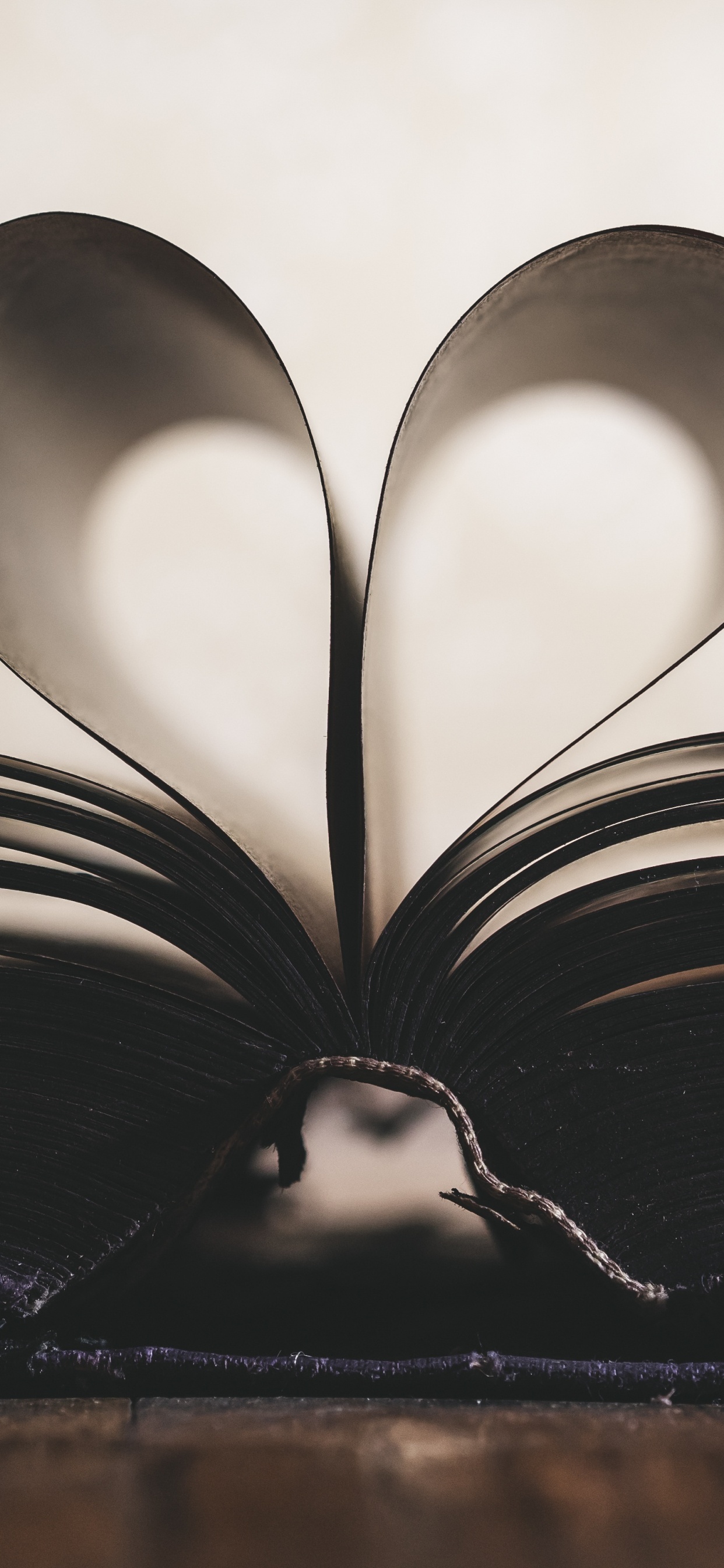 Обои роман, черный, белые, любовь, монохромный в разрешении 1242x2688