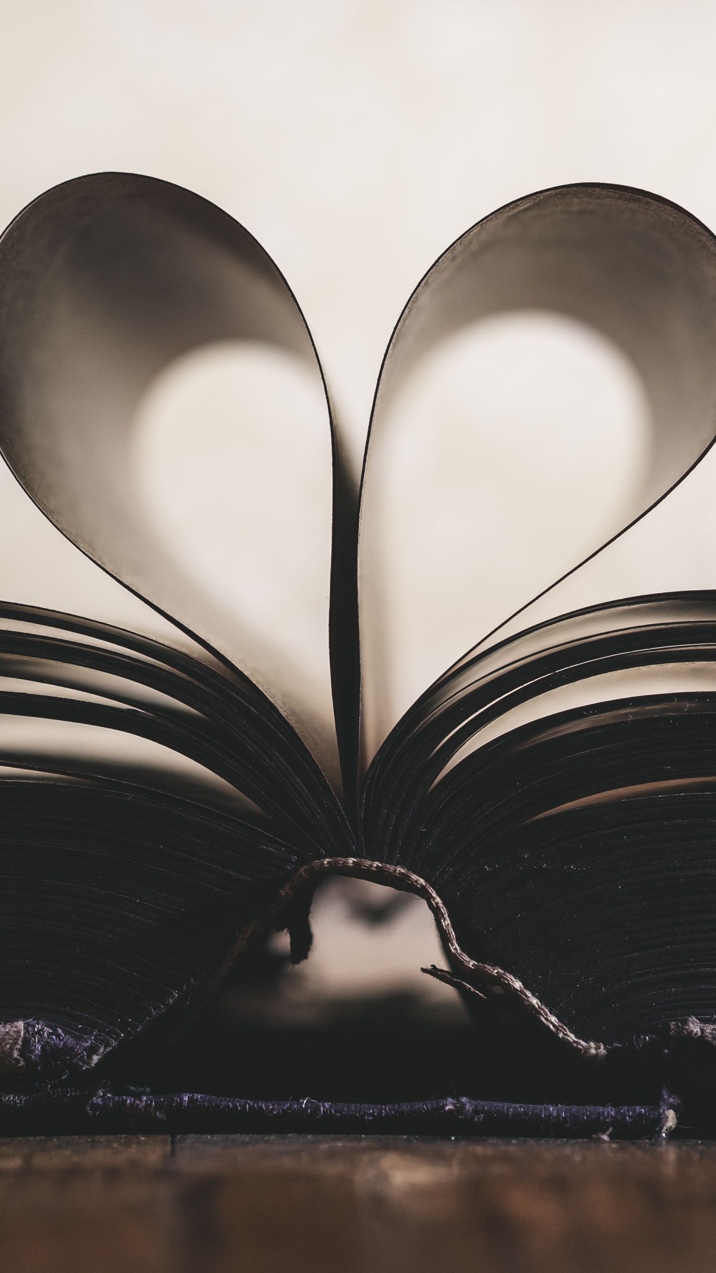 Обои роман, черный, белые, любовь, монохромный в разрешении 1440x2560