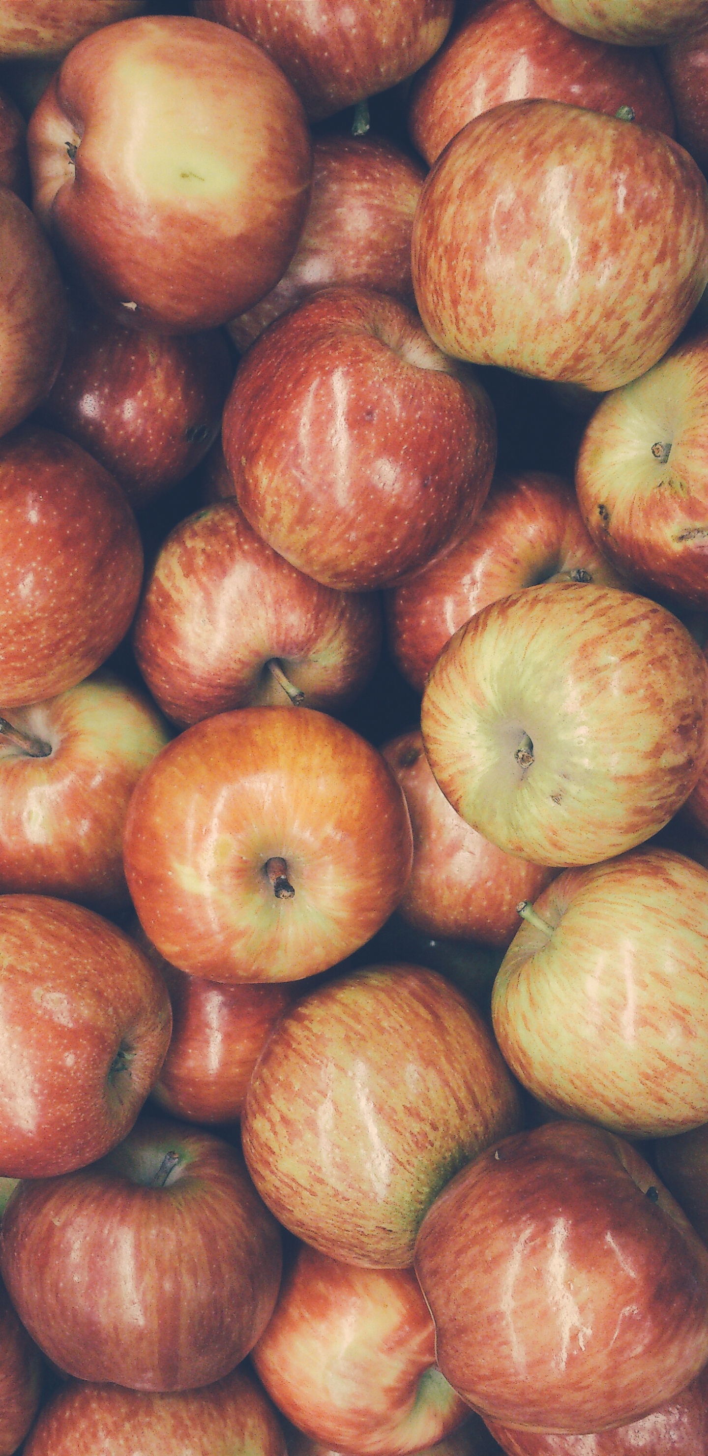 Обои apple, фрукты, природные продукты, пища, местное блюдо в разрешении 1440x2960