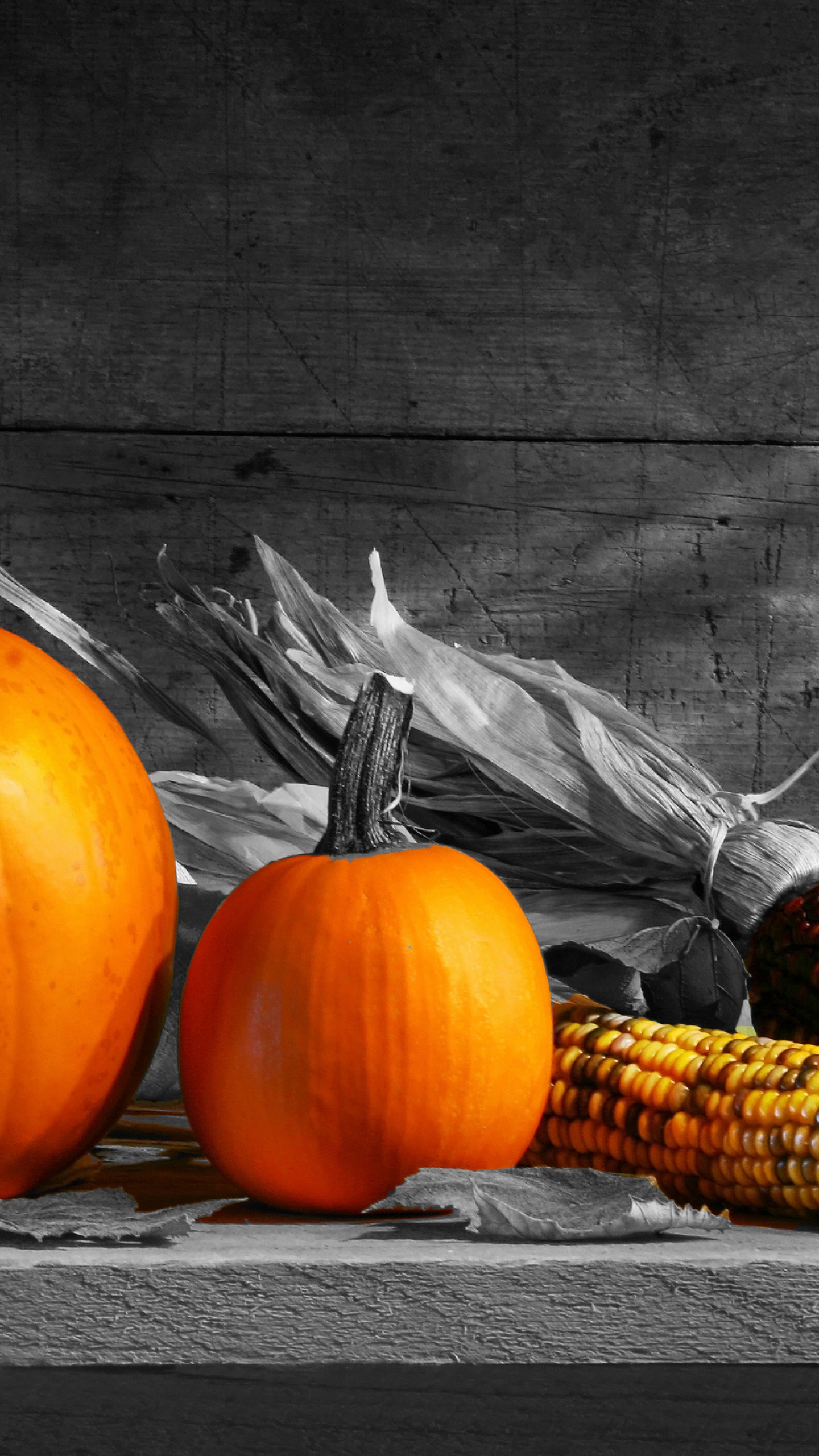 Обои натюрморт, тыквы, иллюстрация, На bigstock, зимний сквош в разрешении 1440x2560