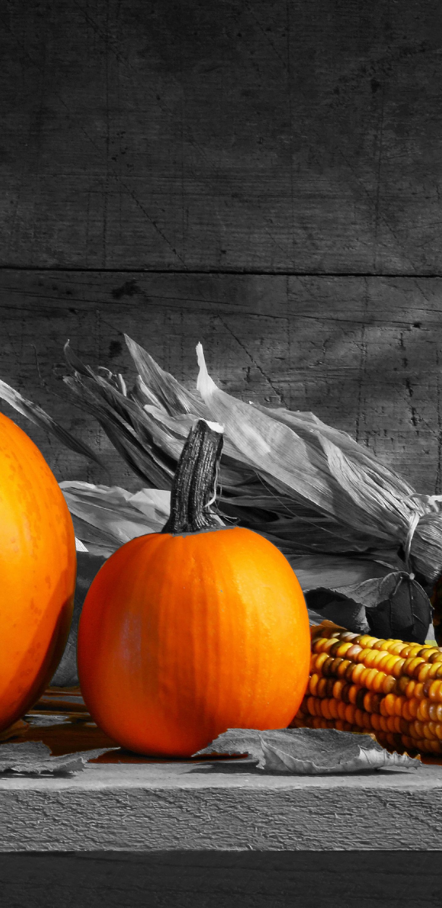 Обои натюрморт, тыквы, иллюстрация, На bigstock, зимний сквош в разрешении 1440x2960