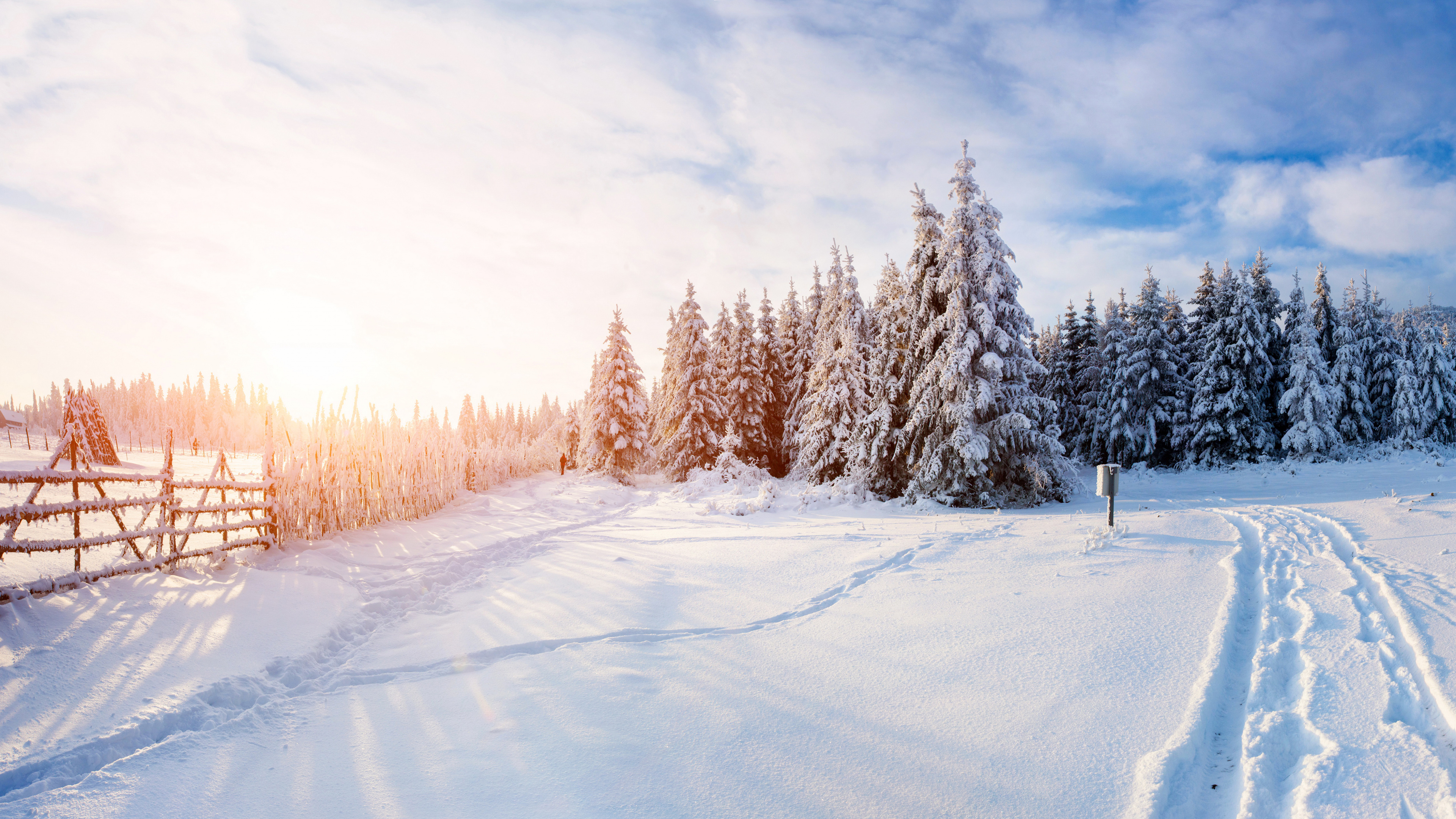 Обои зима, снег, дерево, замораживание, облако в разрешении 3840x2160