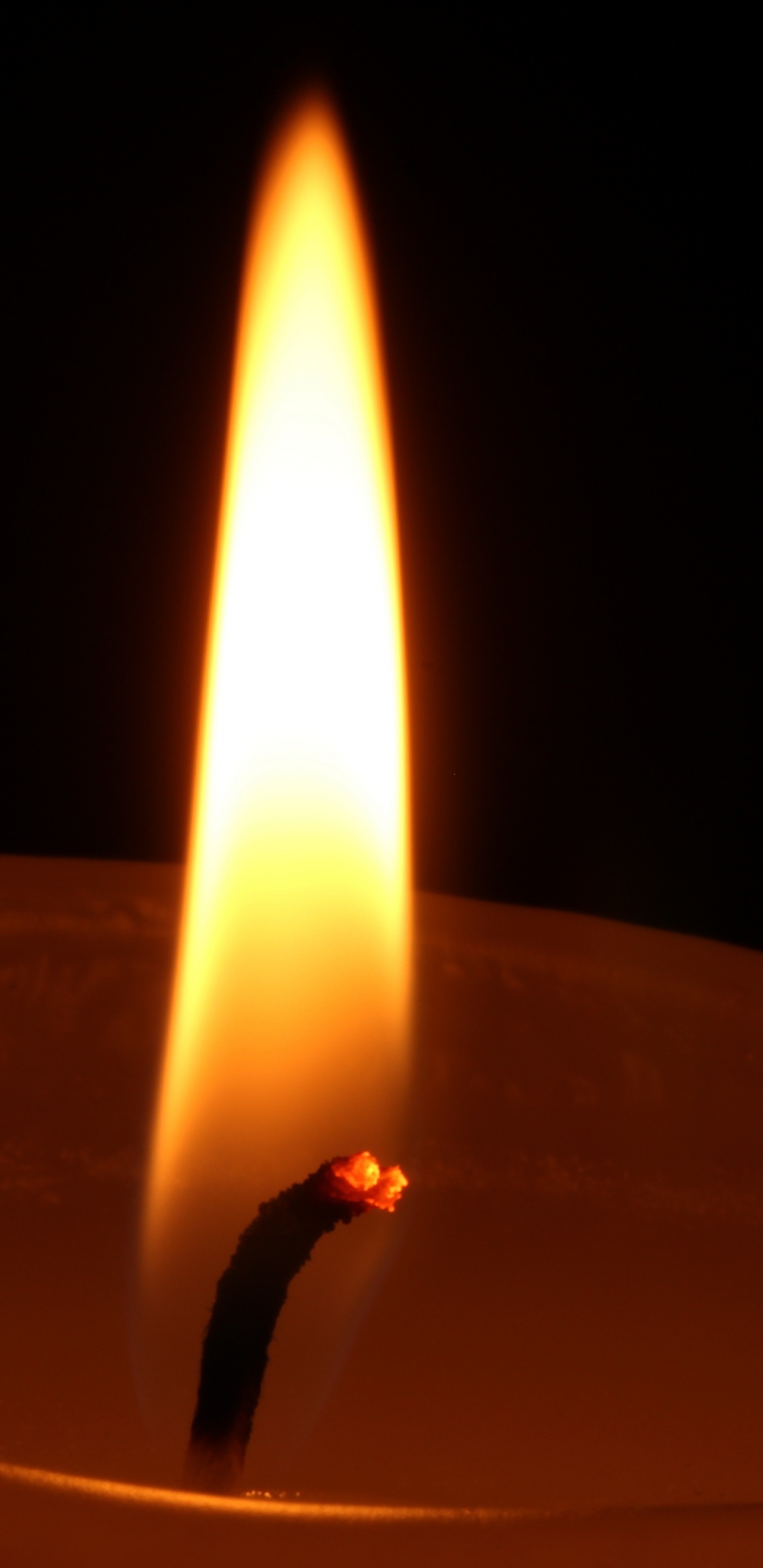 Обои пламя, свеча, освещение, огонь, воск в разрешении 1440x2960