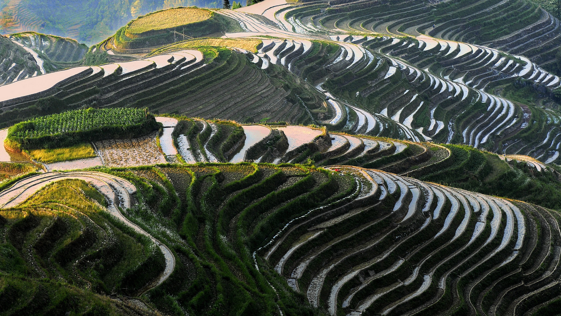 Обои Рисовые Террасы Лунцзи, терраса, пейзаж, видеоигра, трава в разрешении 1920x1080