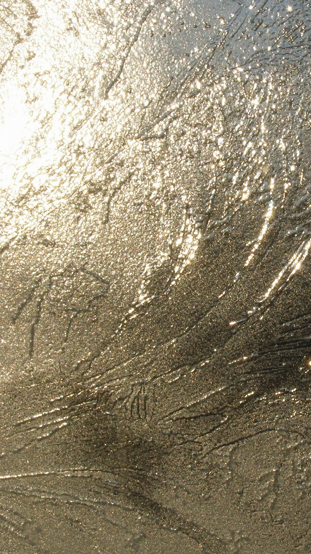 Обои текстура, вода, дерево, солнечный свет, трава в разрешении 1080x1920