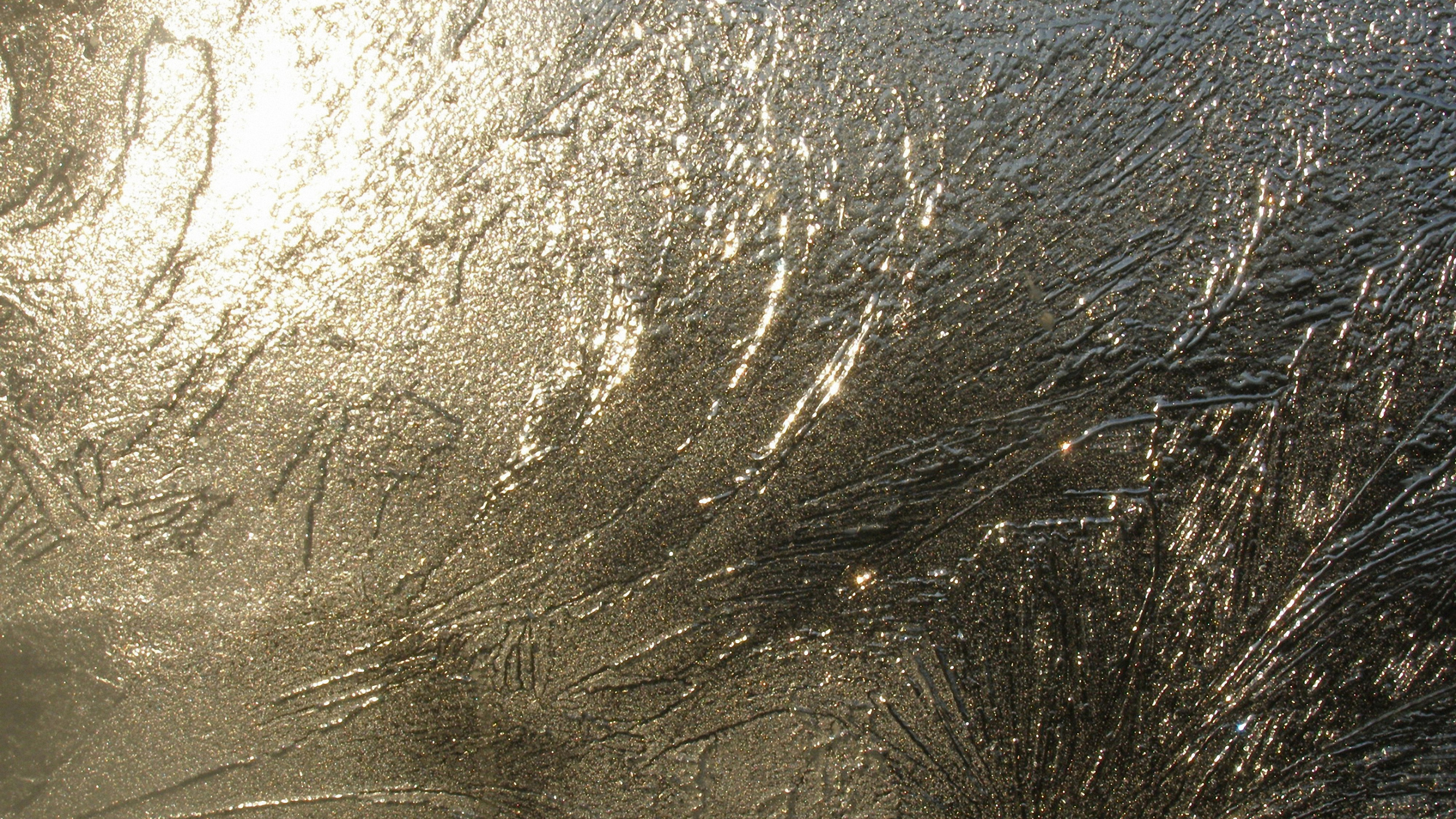 Обои текстура, вода, дерево, солнечный свет, трава в разрешении 2560x1440