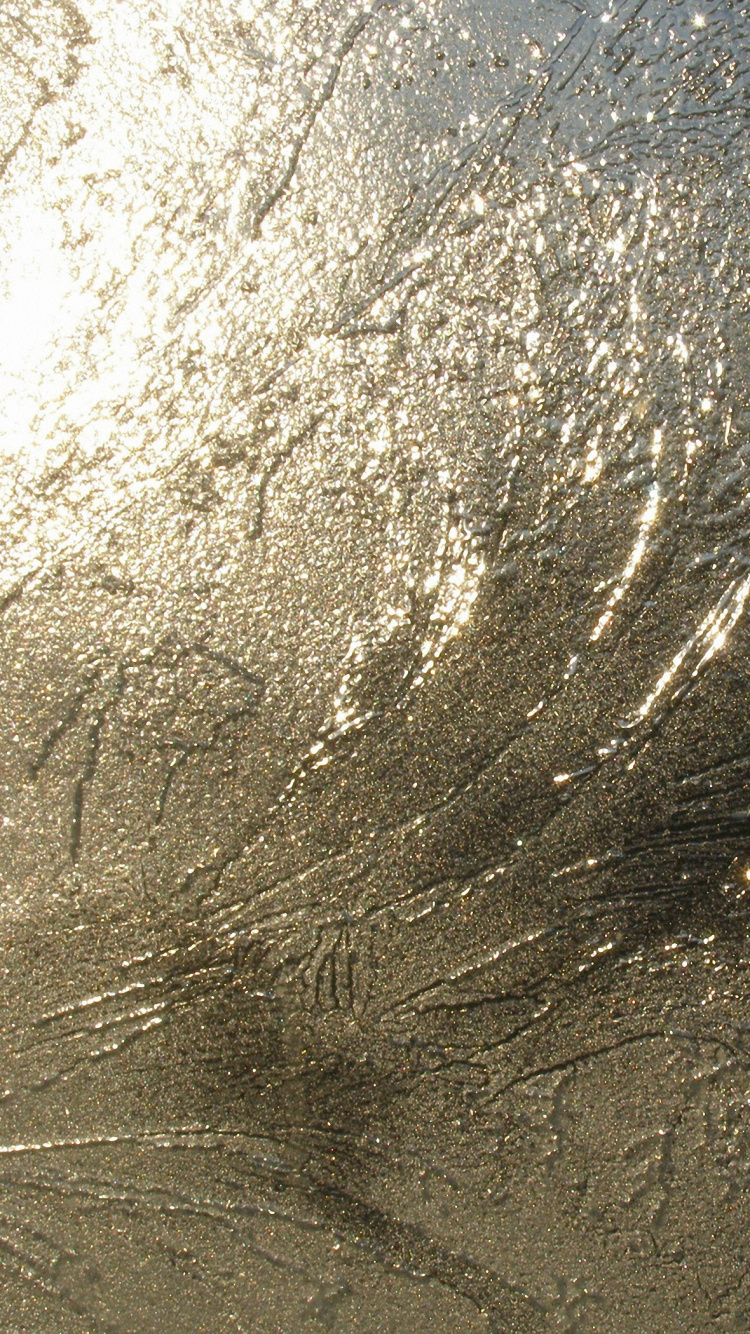 Обои текстура, вода, дерево, солнечный свет, трава в разрешении 750x1334