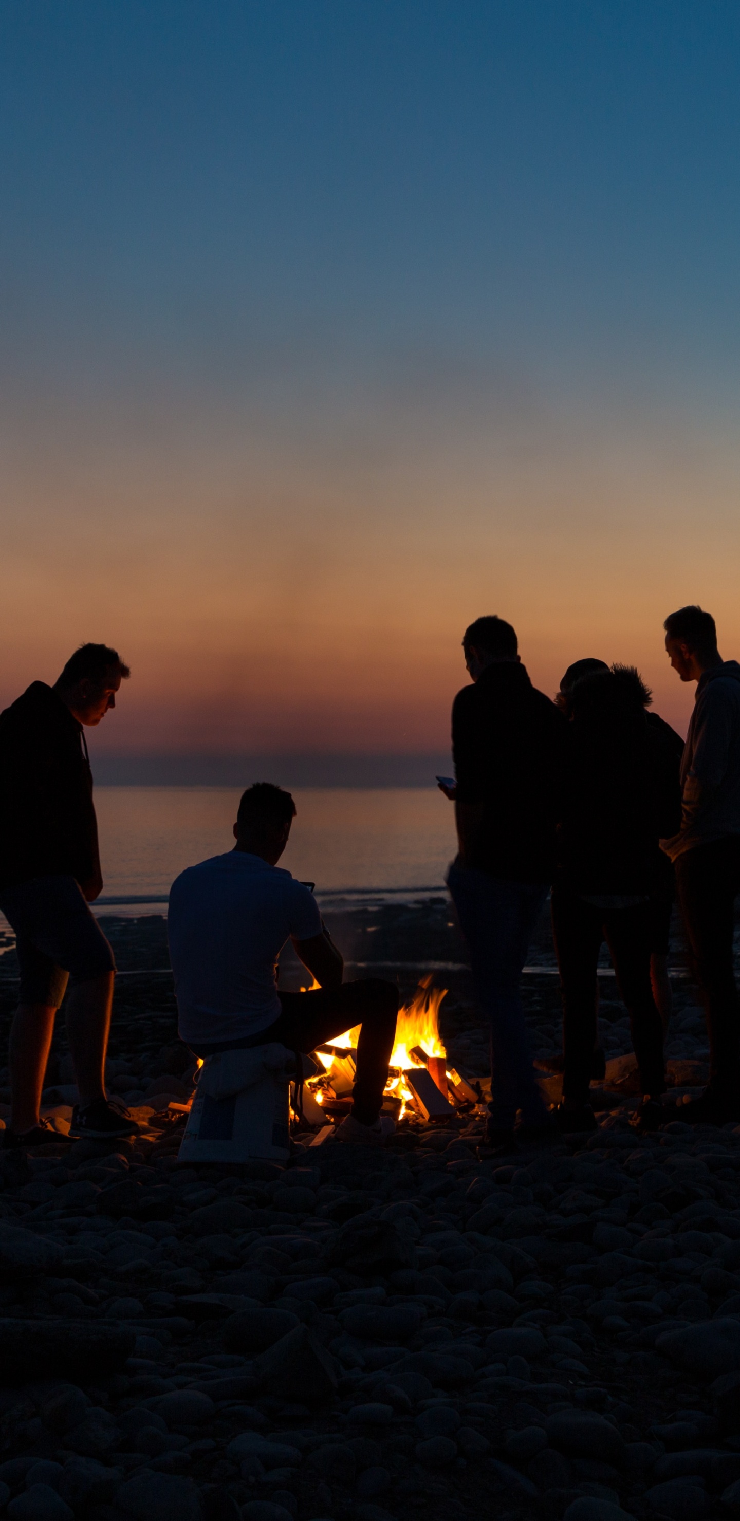 Обои пляж, горизонт, закат, океан, море в разрешении 1440x2960