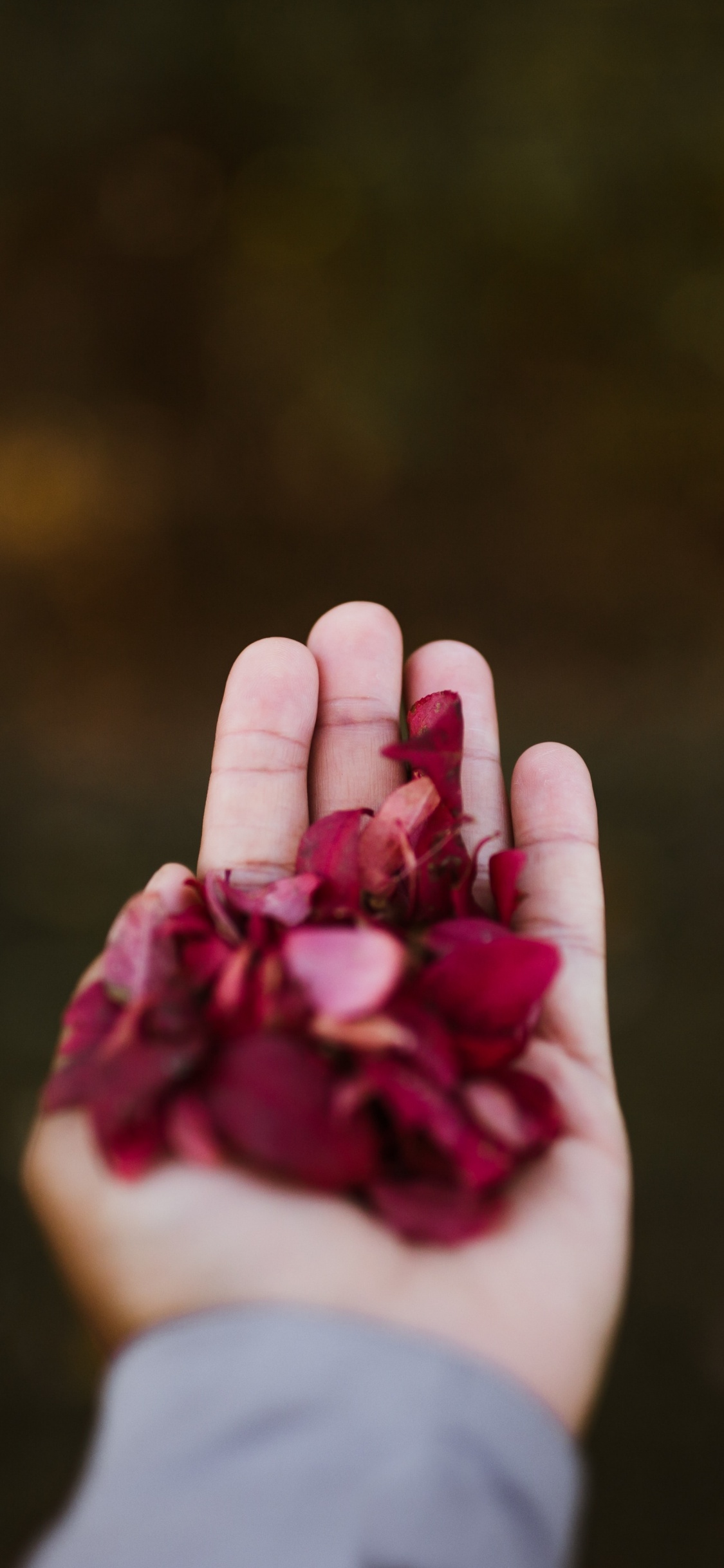 Обои розовый, красный цвет, палец, пурпур, цветок в разрешении 1125x2436