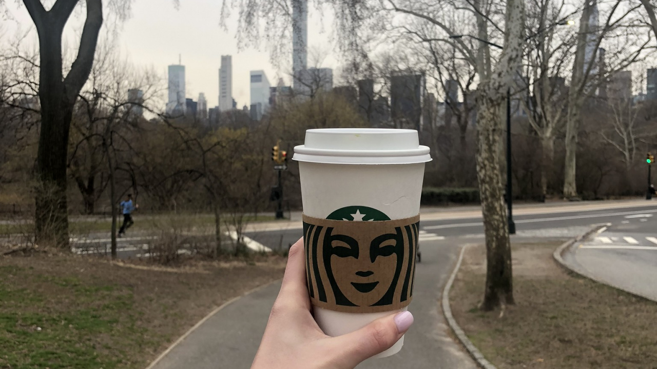 Обои старбакс, дерево, улица, наука, биология человека в разрешении 1280x720