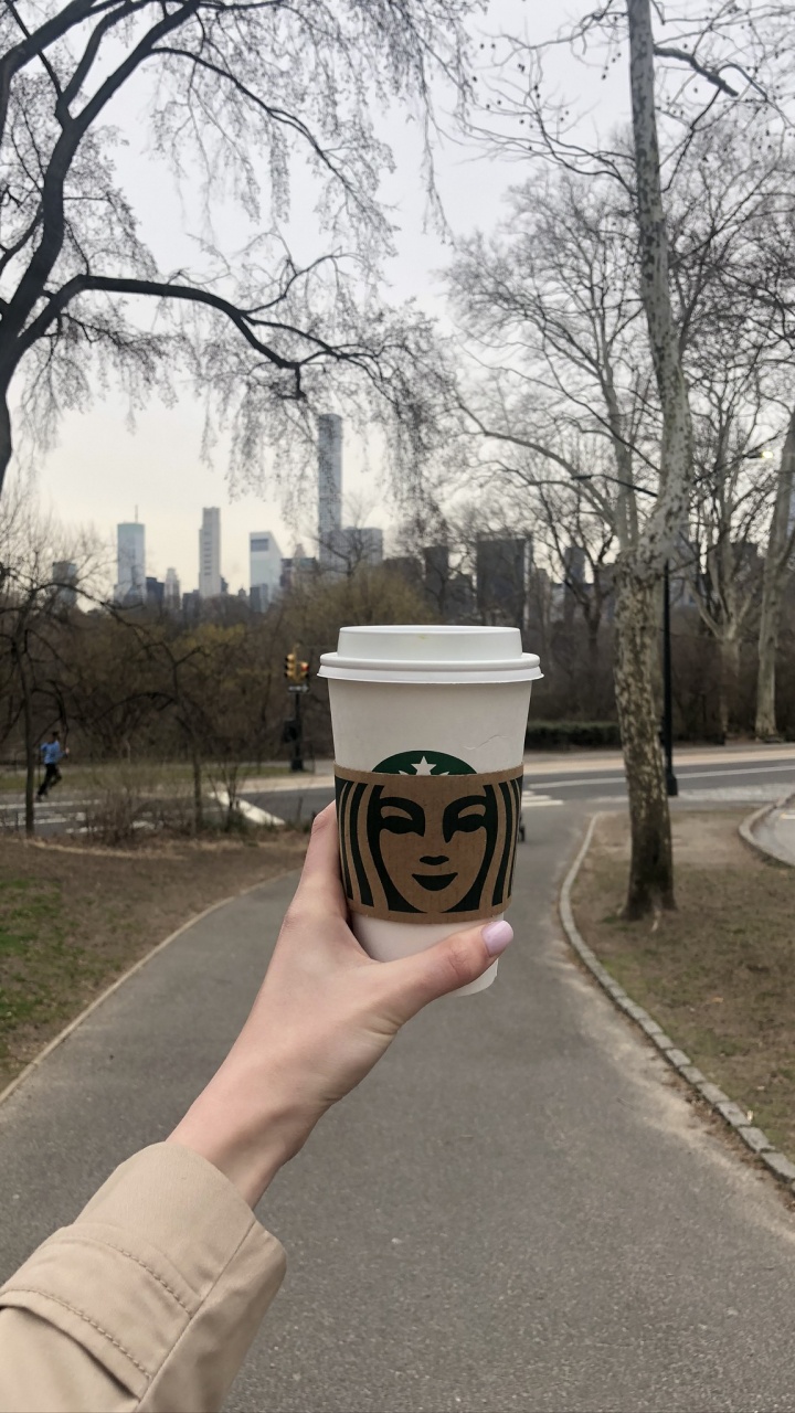 Обои старбакс, дерево, улица, наука, биология человека в разрешении 720x1280