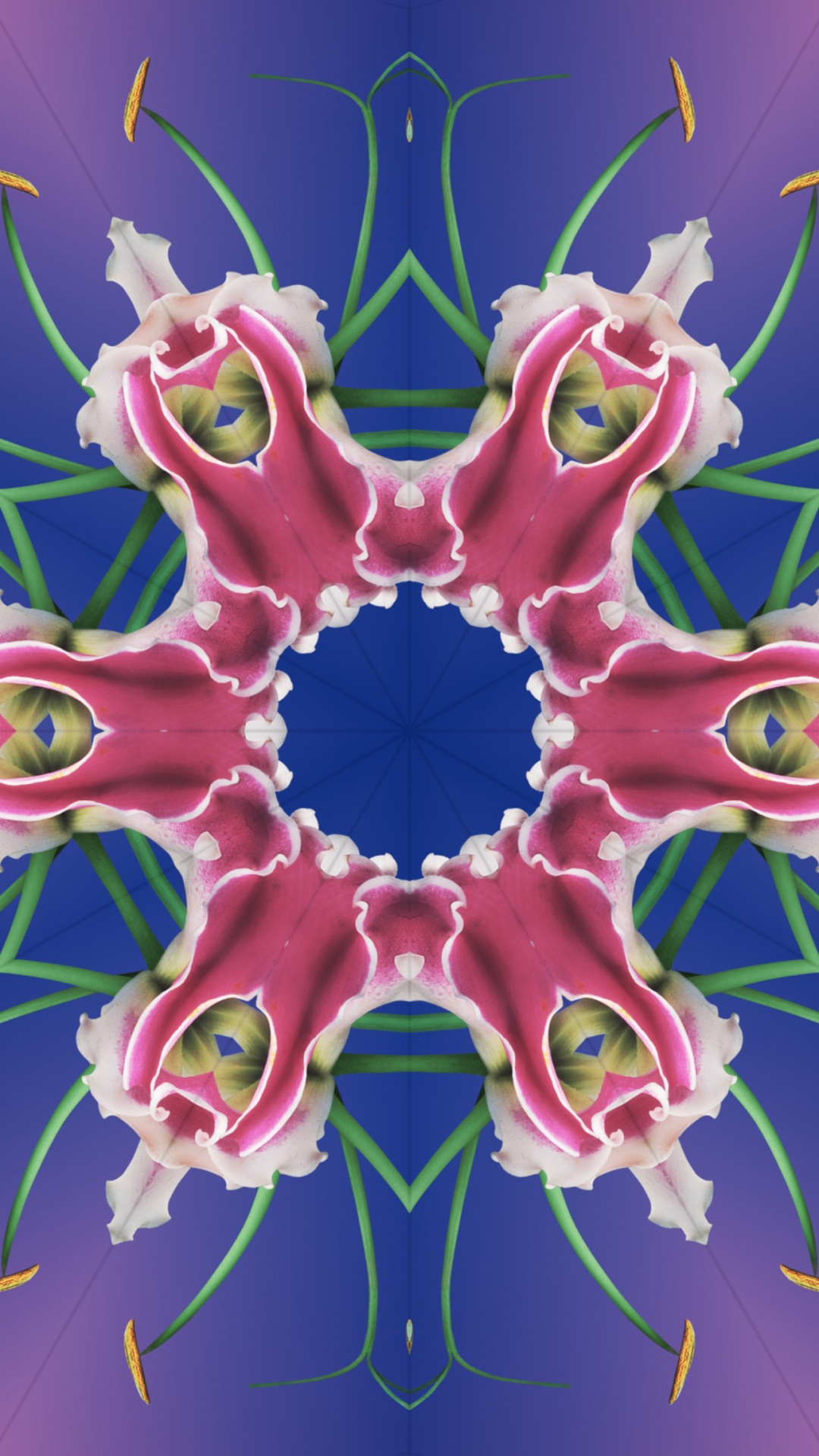 Обои iOS 17, iOS 17 калейдоскоп, яблоко, iOS 16, я уточнила в разрешении 1080x1920