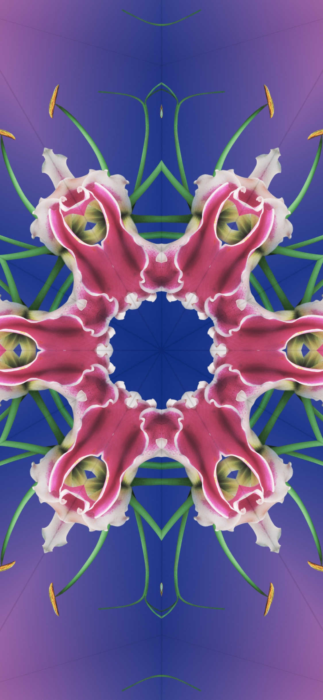 Обои iOS 17, iOS 17 калейдоскоп, яблоко, iOS 16, я уточнила в разрешении 1125x2436