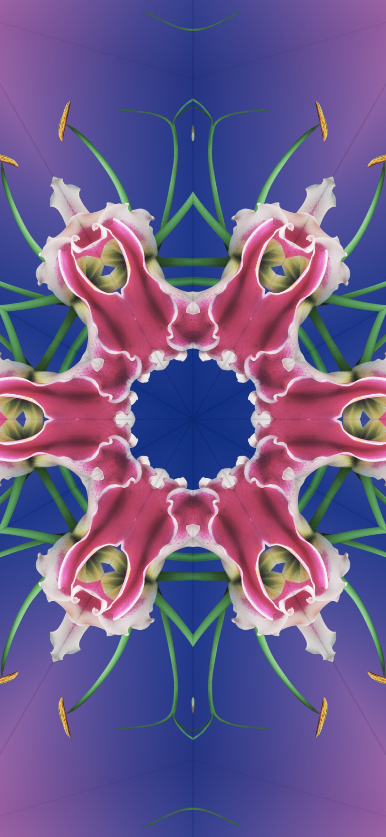 Обои iOS 17, iOS 17 калейдоскоп, яблоко, iOS 16, я уточнила в разрешении 1242x2688