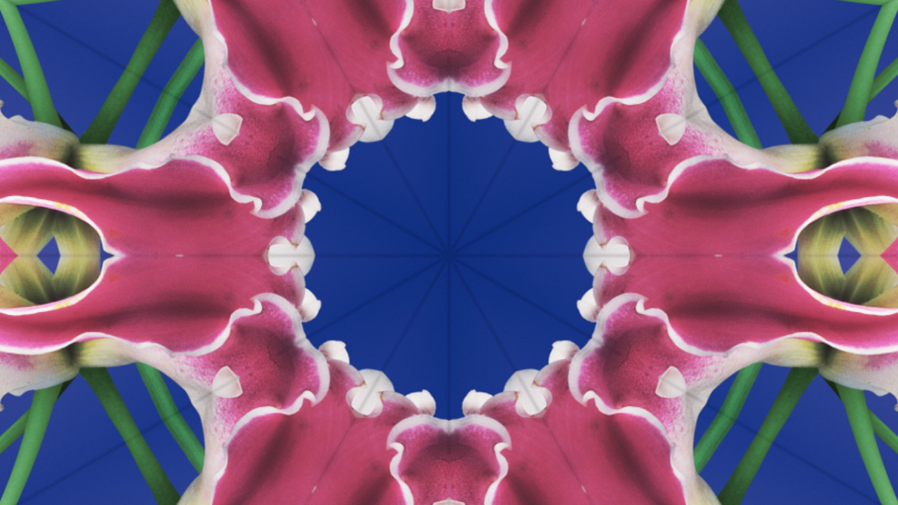 Обои iOS 17, iOS 17 калейдоскоп, яблоко, iOS 16, я уточнила в разрешении 1280x720