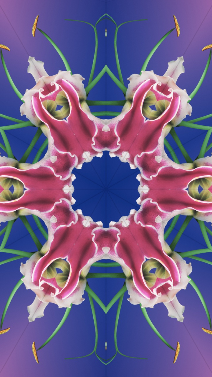 Обои iOS 17, iOS 17 калейдоскоп, яблоко, iOS 16, я уточнила в разрешении 720x1280