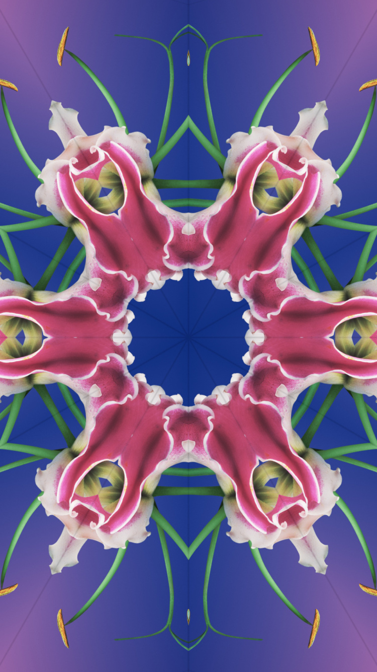 Обои iOS 17, iOS 17 калейдоскоп, яблоко, iOS 16, я уточнила в разрешении 750x1334