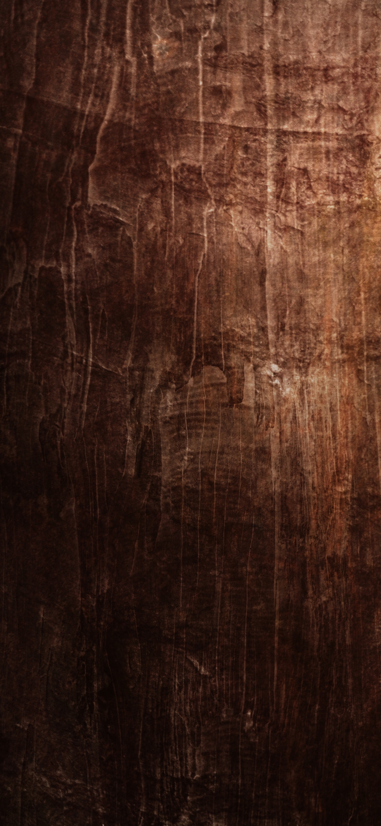 Обои чернила, коричневый цвет, лес, этаж, пол в разрешении 1242x2688