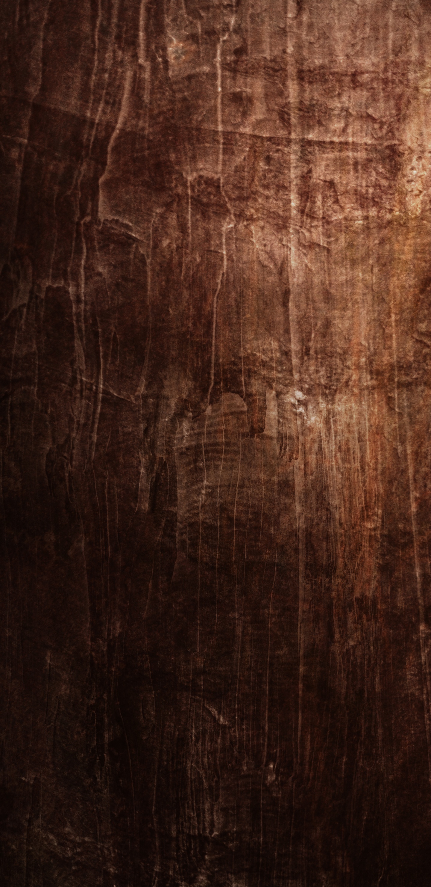 Обои чернила, коричневый цвет, лес, этаж, пол в разрешении 1440x2960