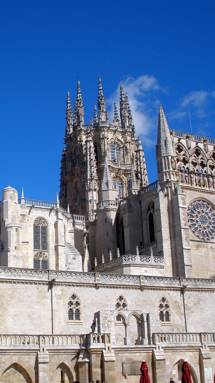 Обои собор, готическая архитектура, средневековая архитектура, здание, место поклонения в разрешении 720x1280