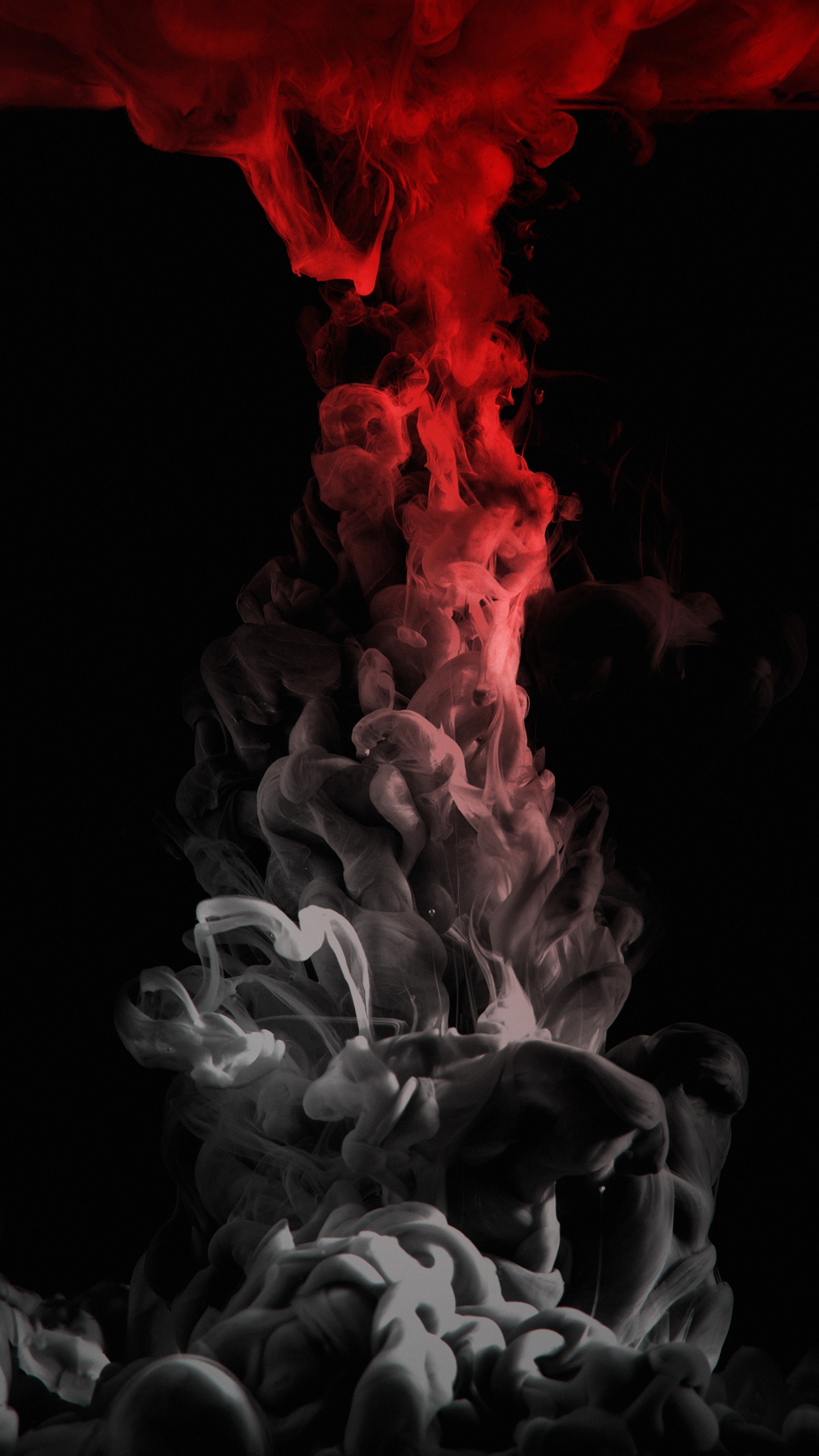 Обои темнота, газ, растение, событие, электрик в разрешении 1440x2560