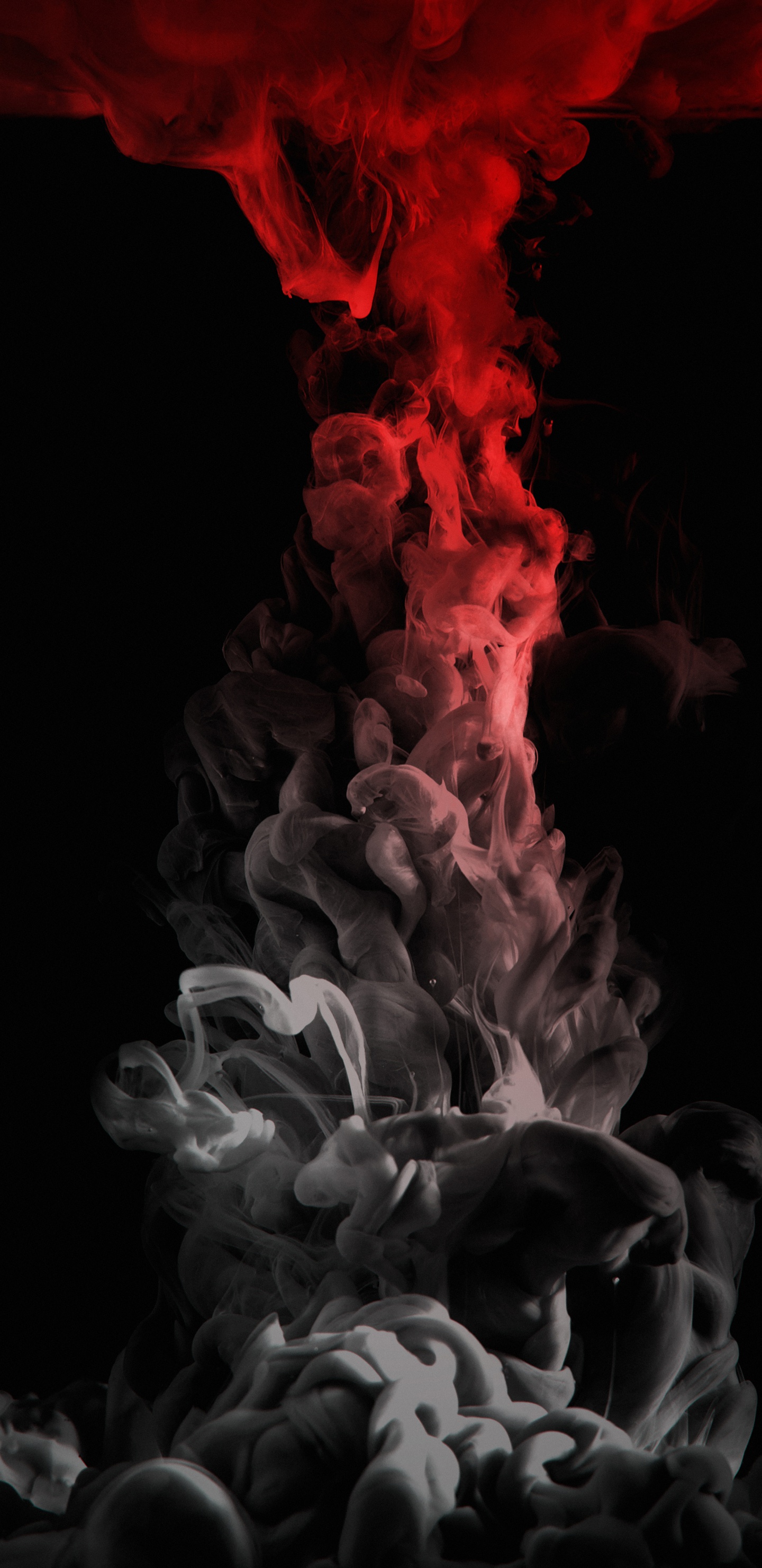 Обои темнота, газ, растение, событие, электрик в разрешении 1440x2960