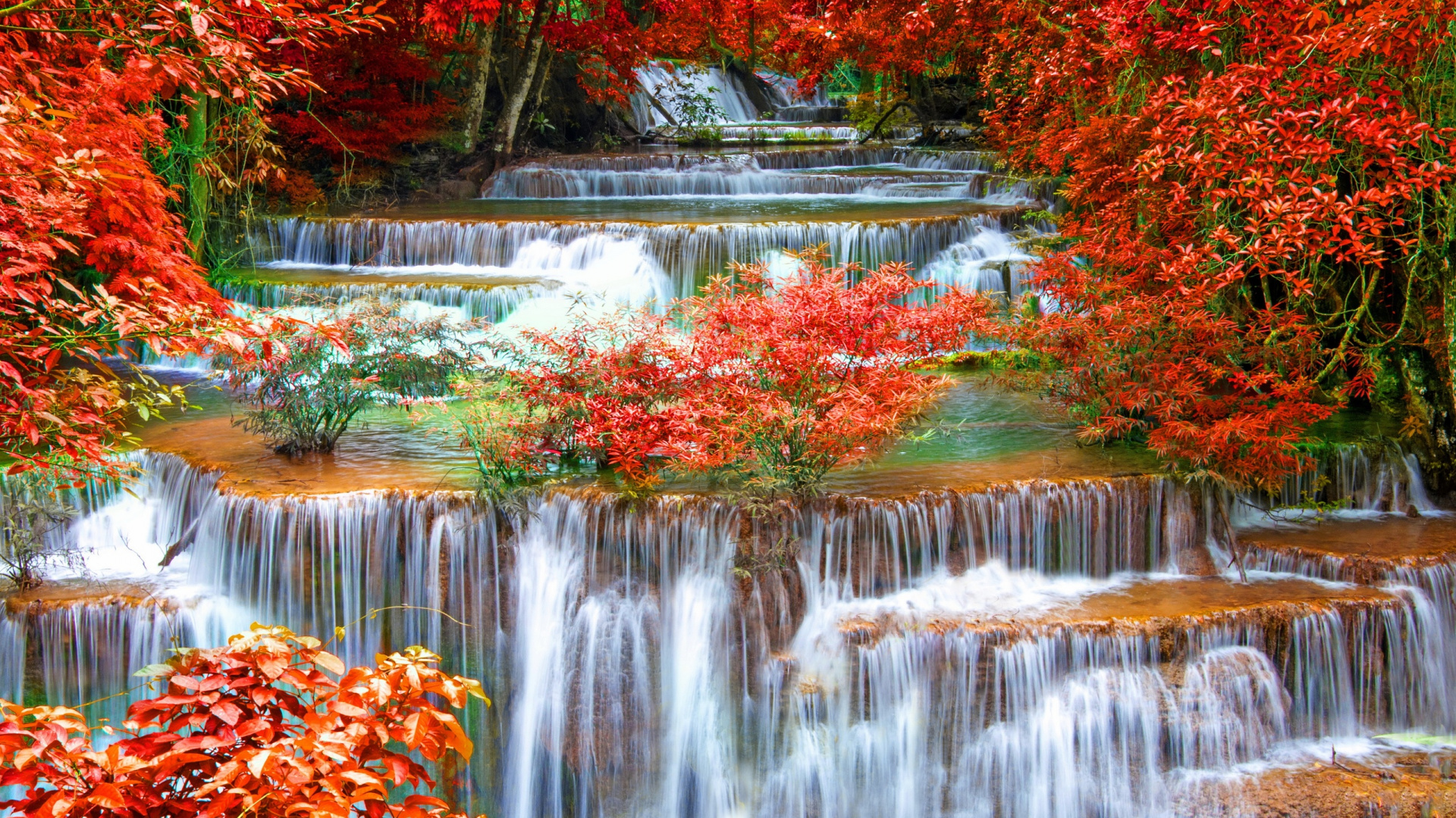 Обои водопад, природа, дерево, лист, осень в разрешении 1920x1080