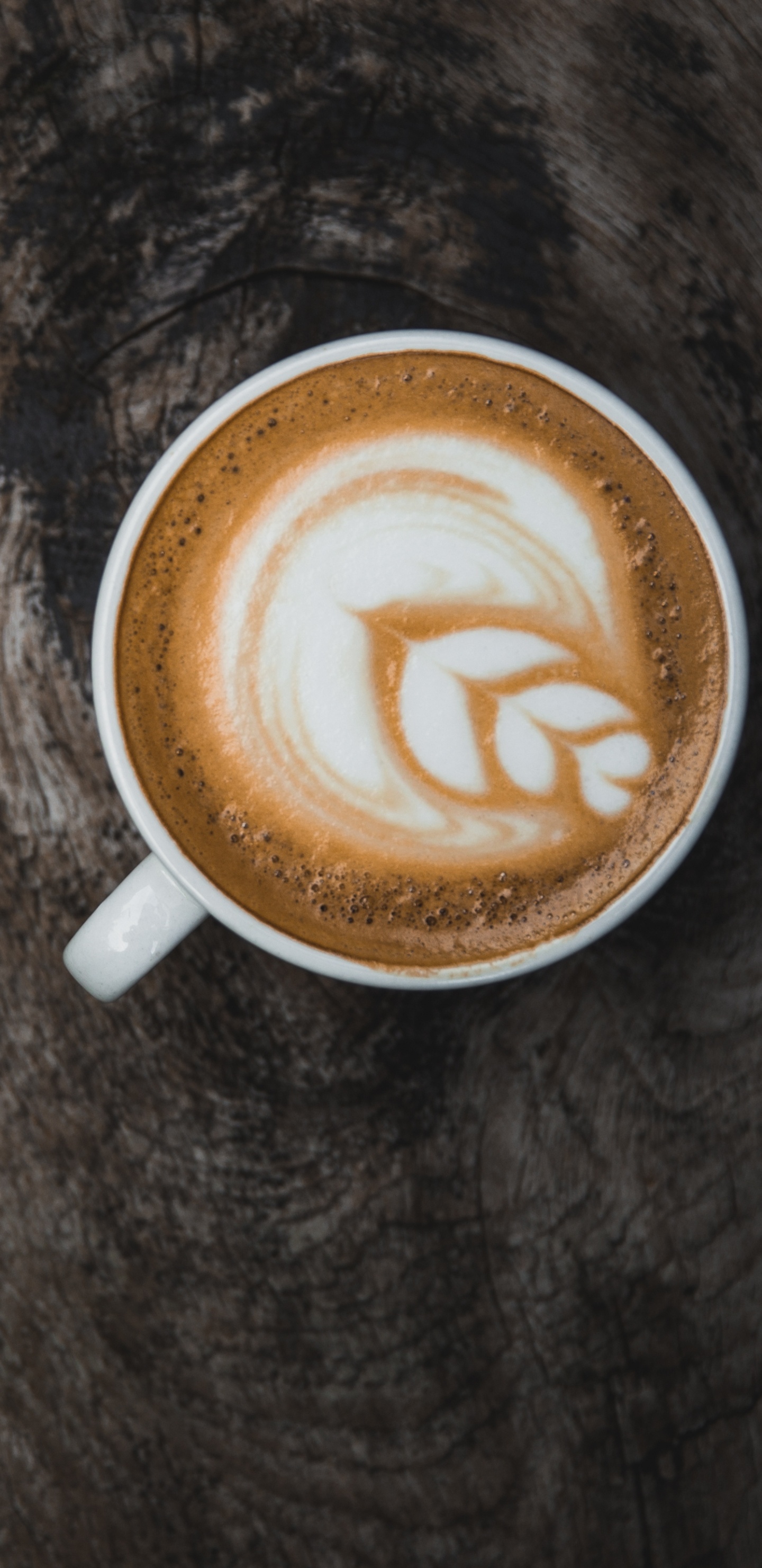 Обои капучино, латте, кофе, кафешка макиато, плоские белые в разрешении 1440x2960