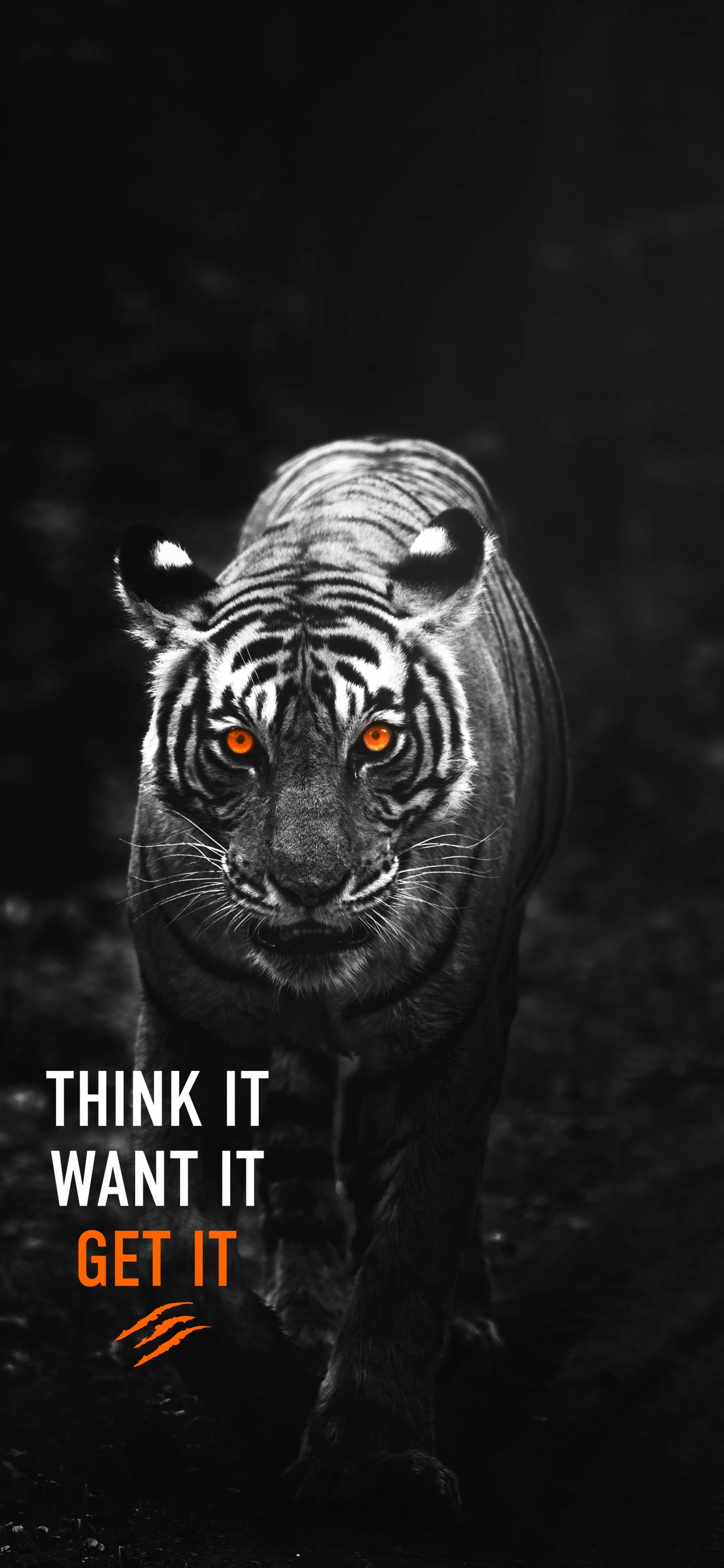 Обои думаю, что хочу получить тигр, тигр, андроид, Амурский тигр, бенгальский тигр в разрешении 1242x2688