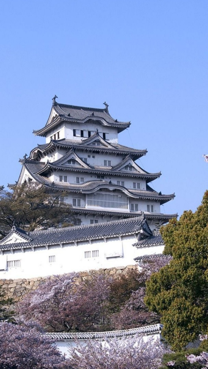 Обои Замок Химэдзи, Японский замок, замок, цветение вишни, цветок в разрешении 720x1280