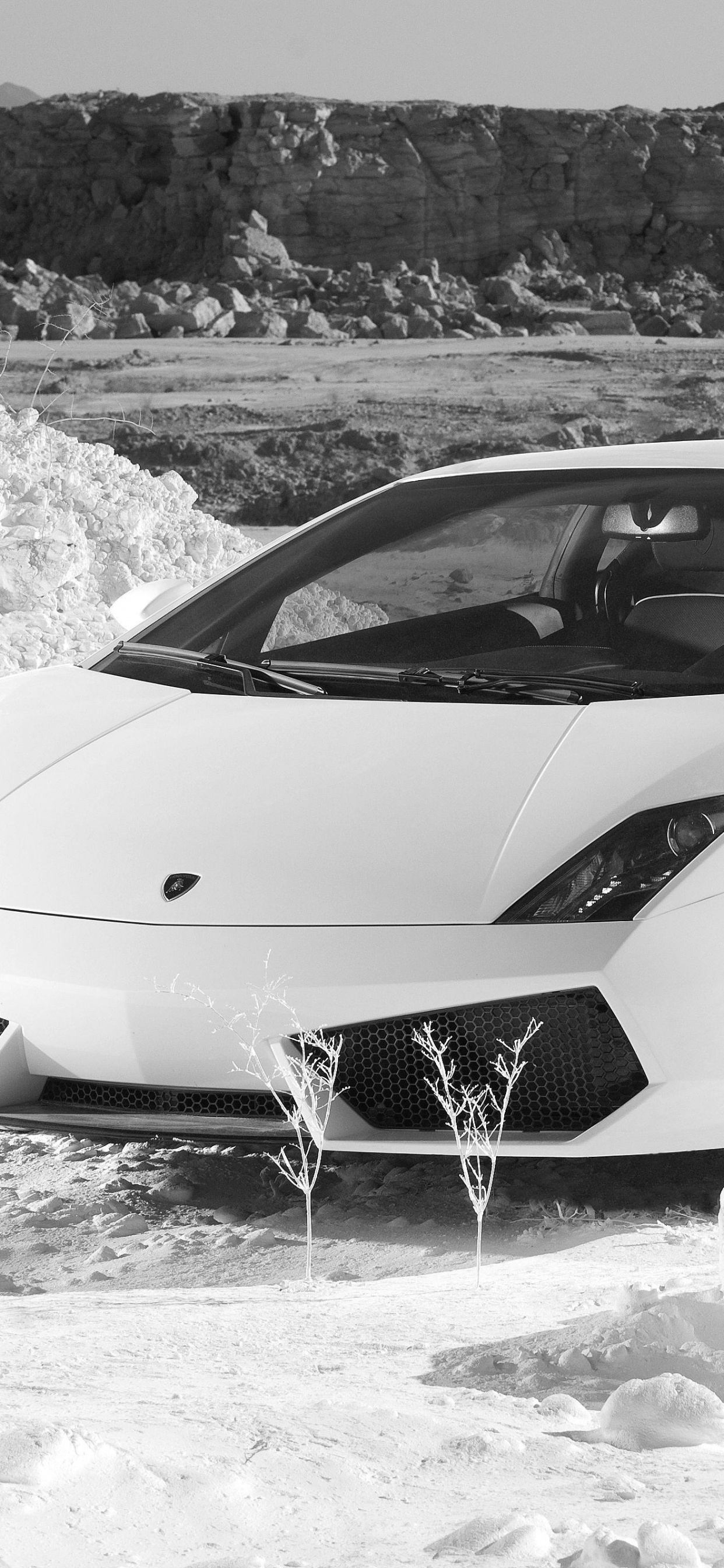 Обои Ламборгини авентадор, Ламборджини, авто, спорткар, суперкар в разрешении 1242x2688