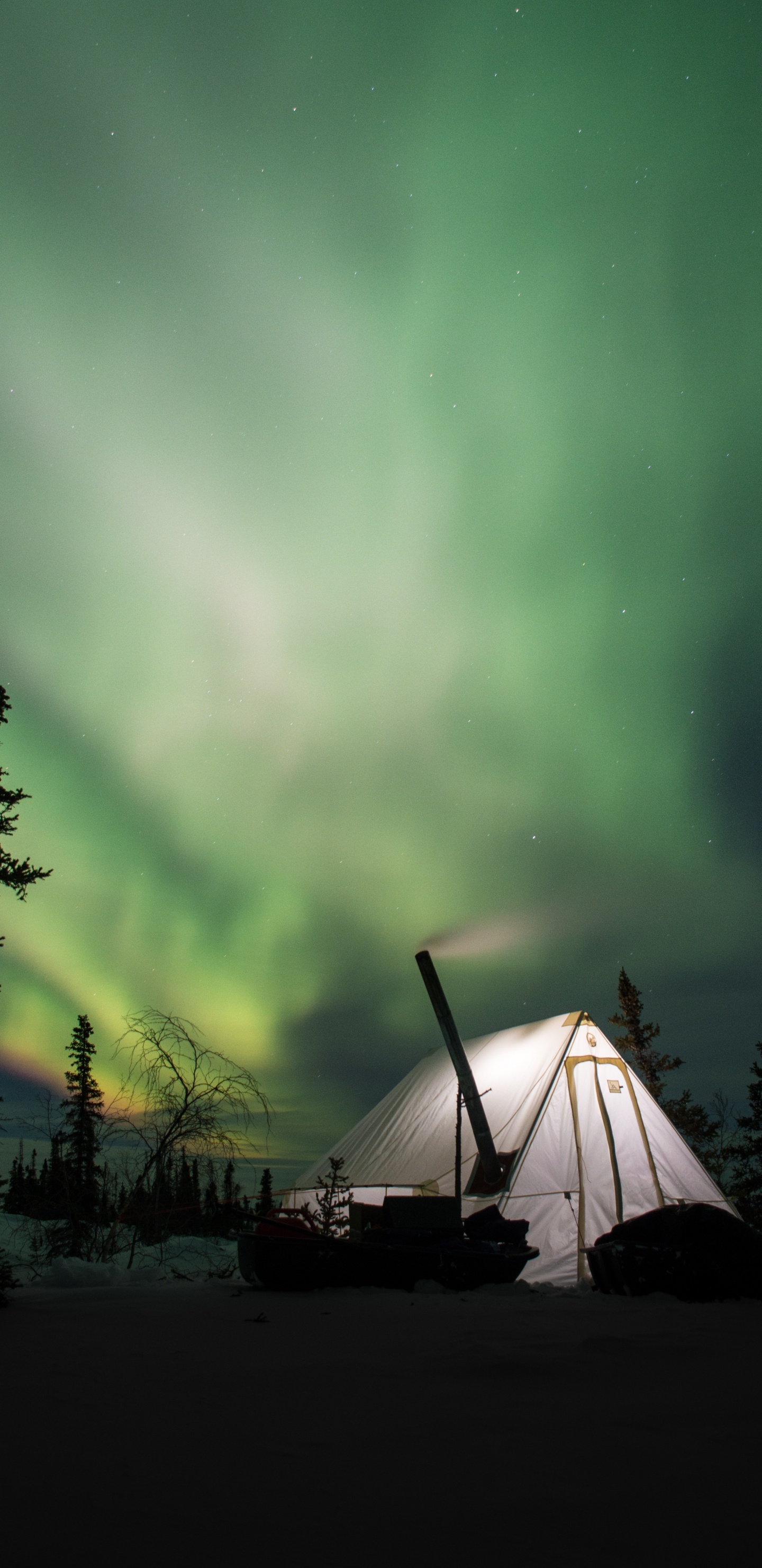 Обои Аврора, природа, зеленый, облако, дерево в разрешении 1440x2960